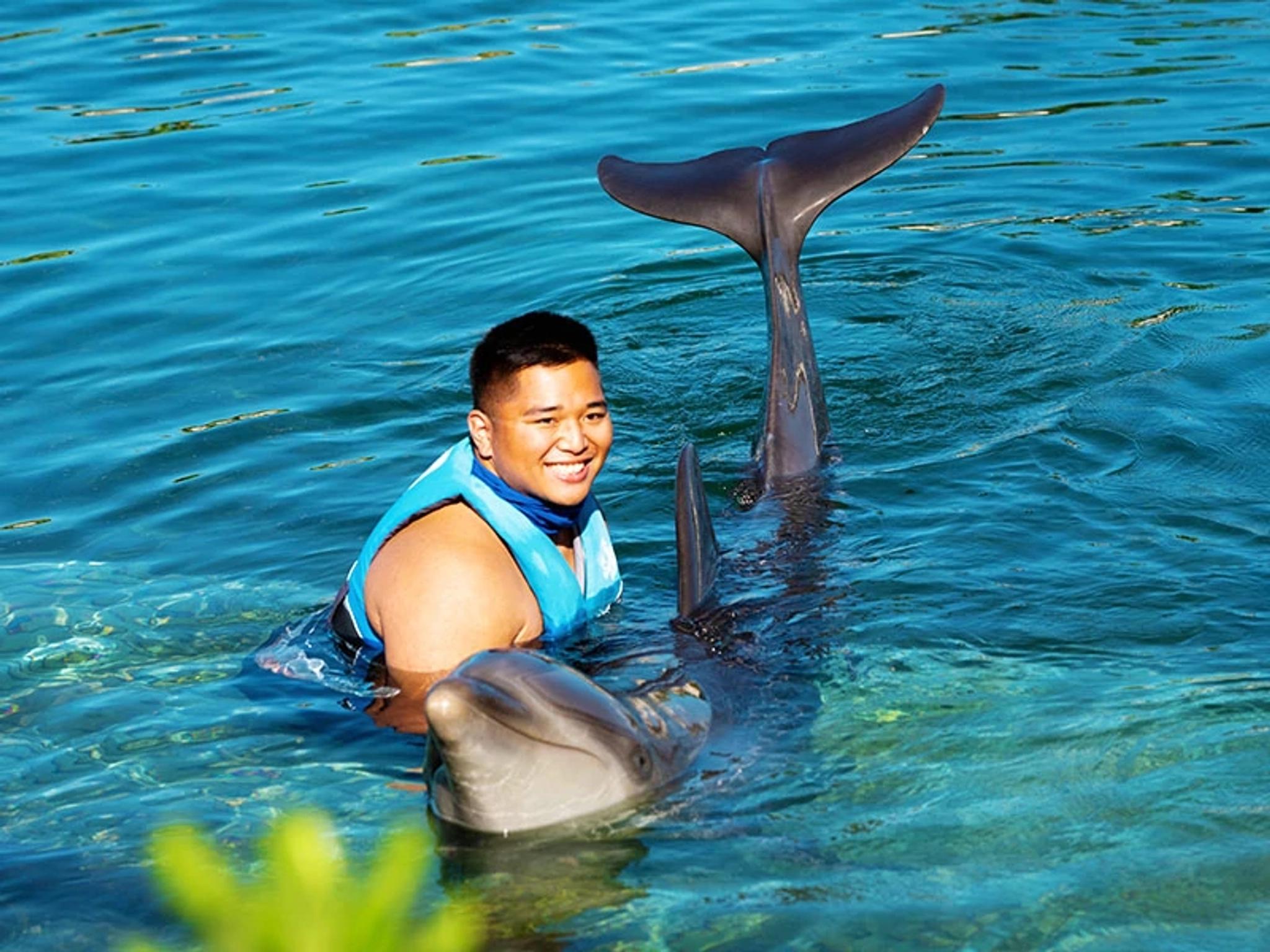 Dolphins & Whales