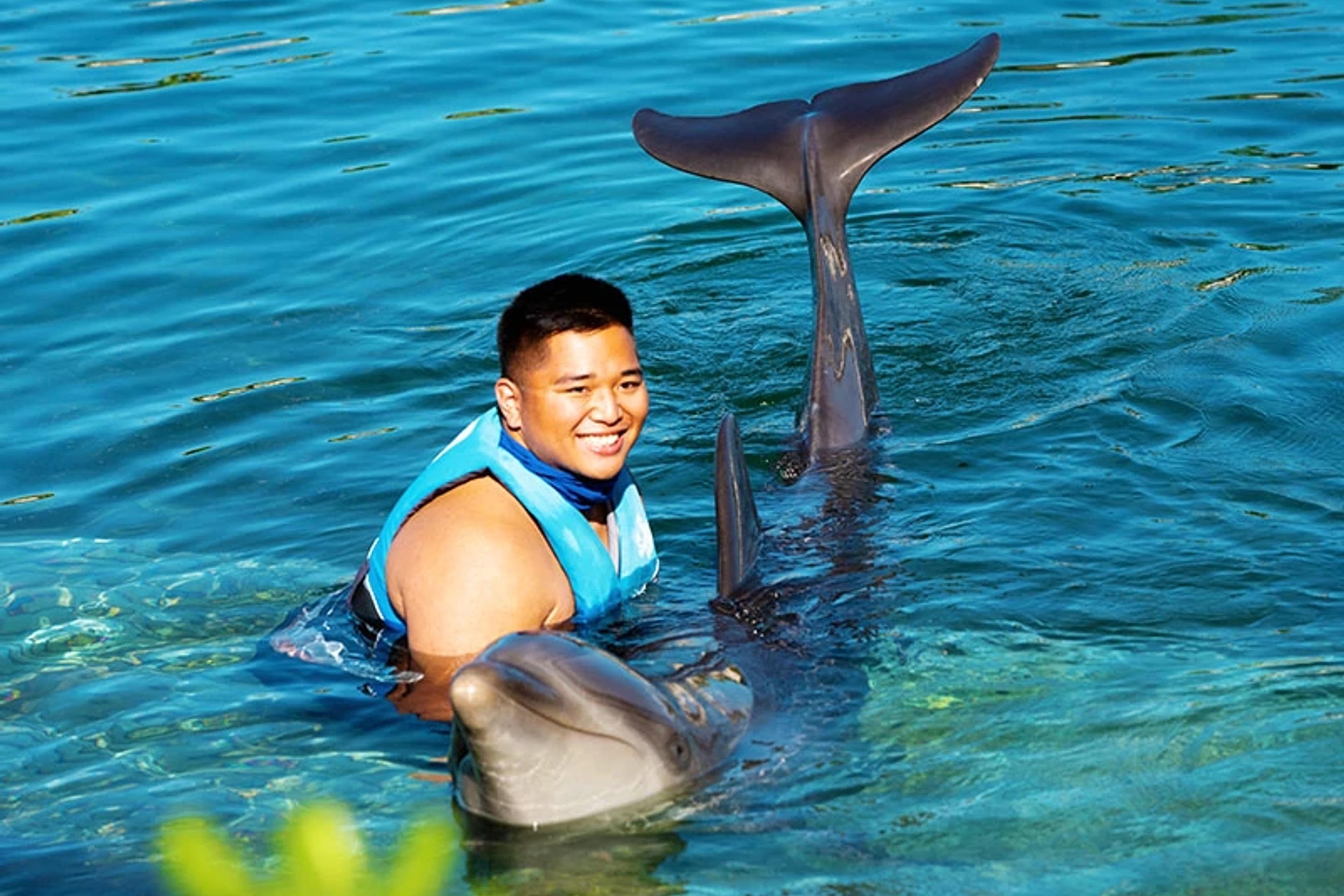 Dolphins & Whales