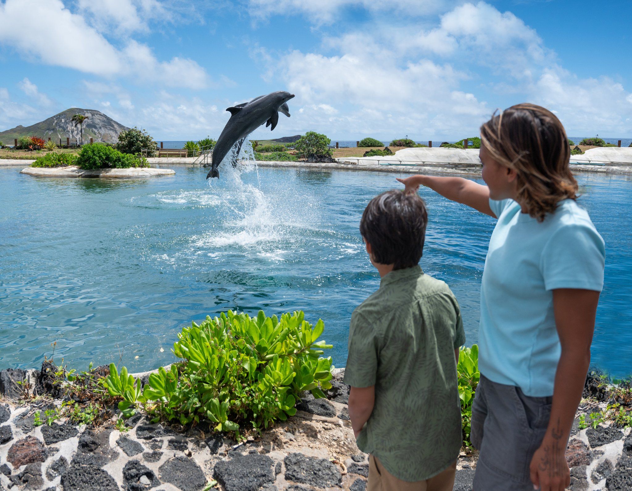 A dolphin leaping at Dolphin Lagoon as guests watch