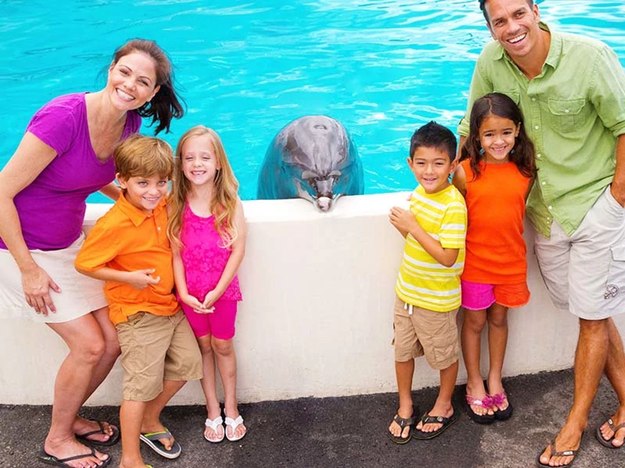 Family with Dolphins