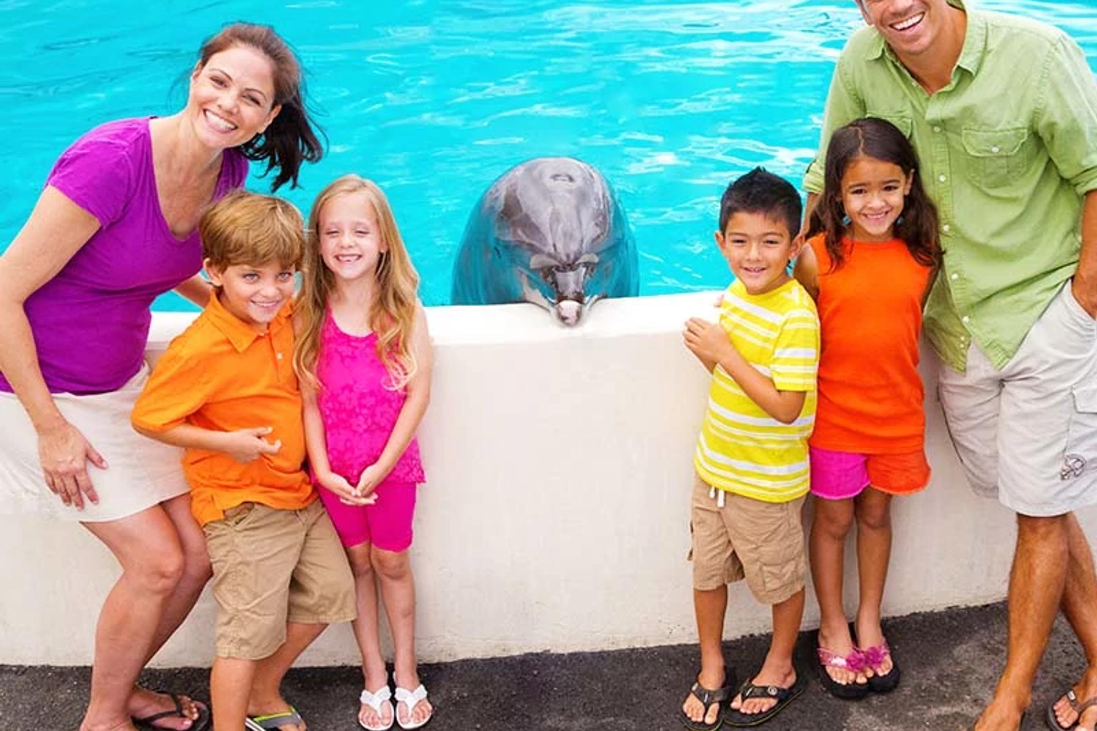 Family with Dolphins