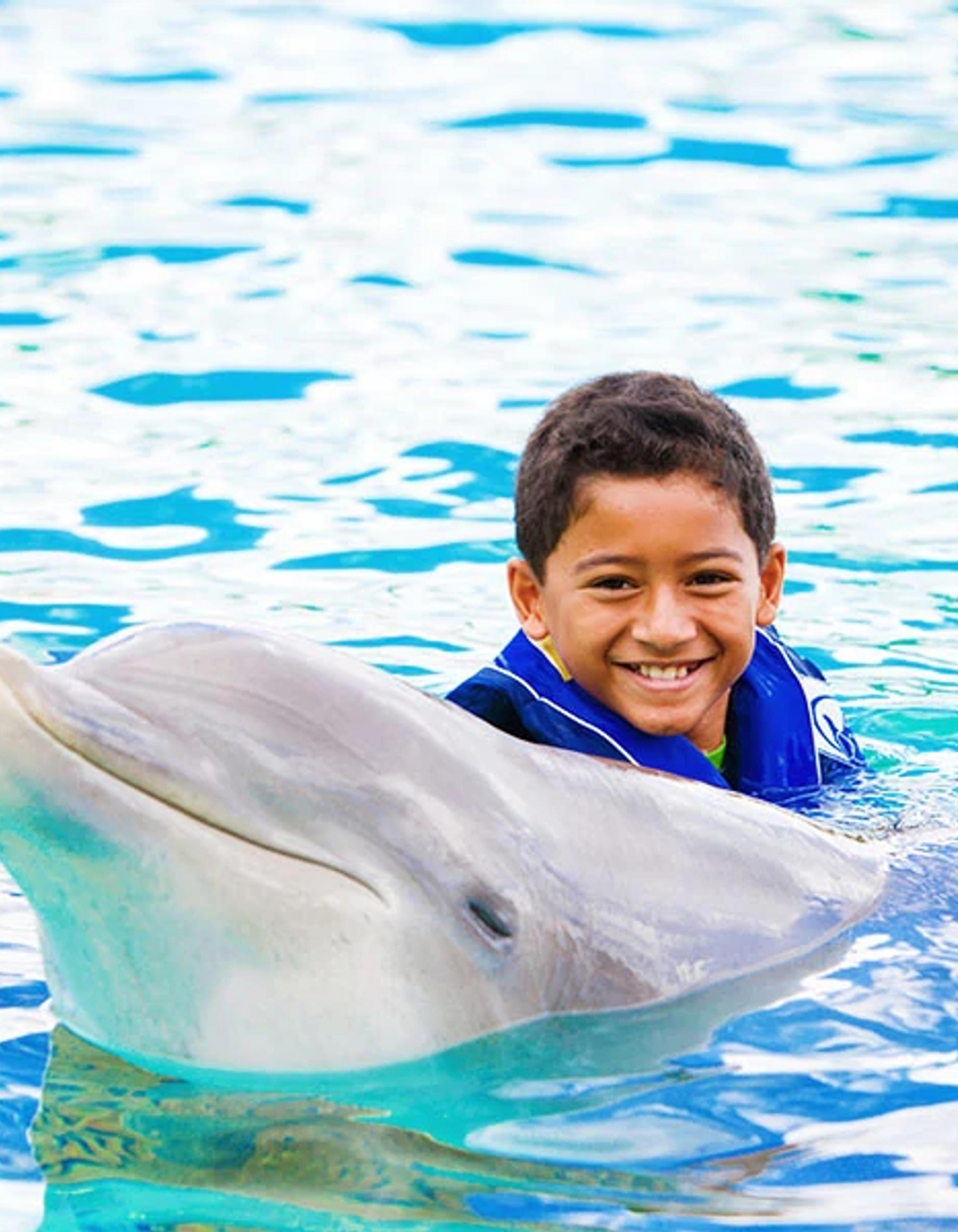 Dolphins