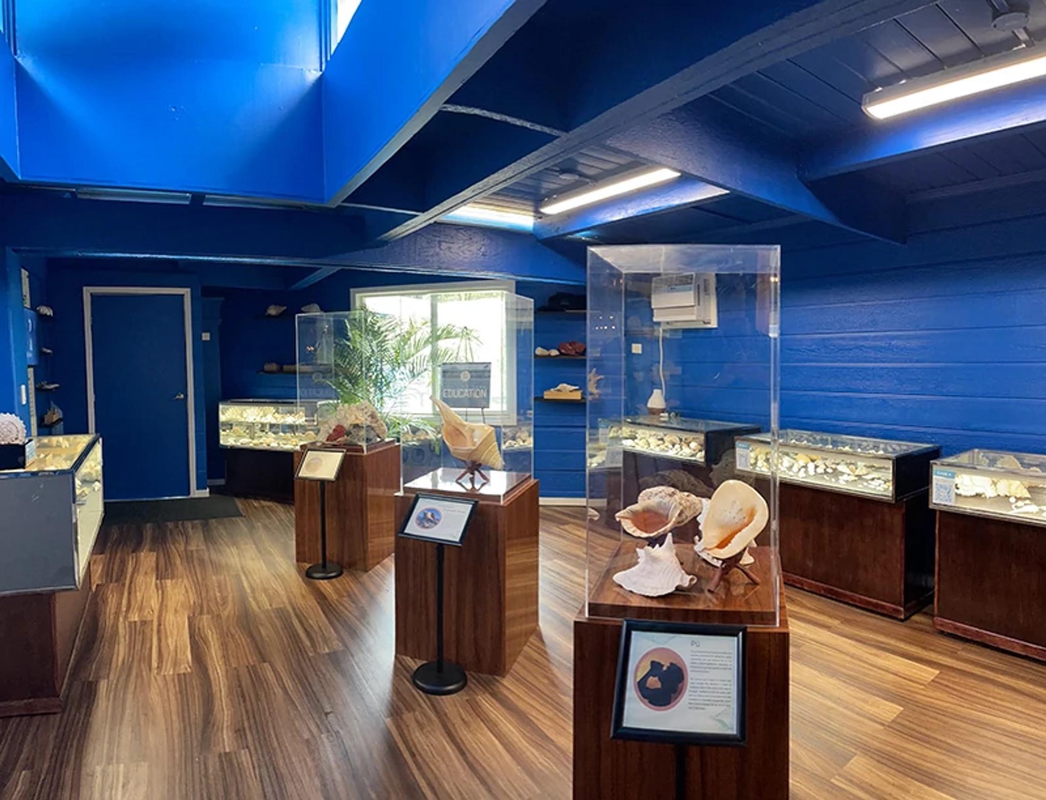 NEW! Ohana Learning Center