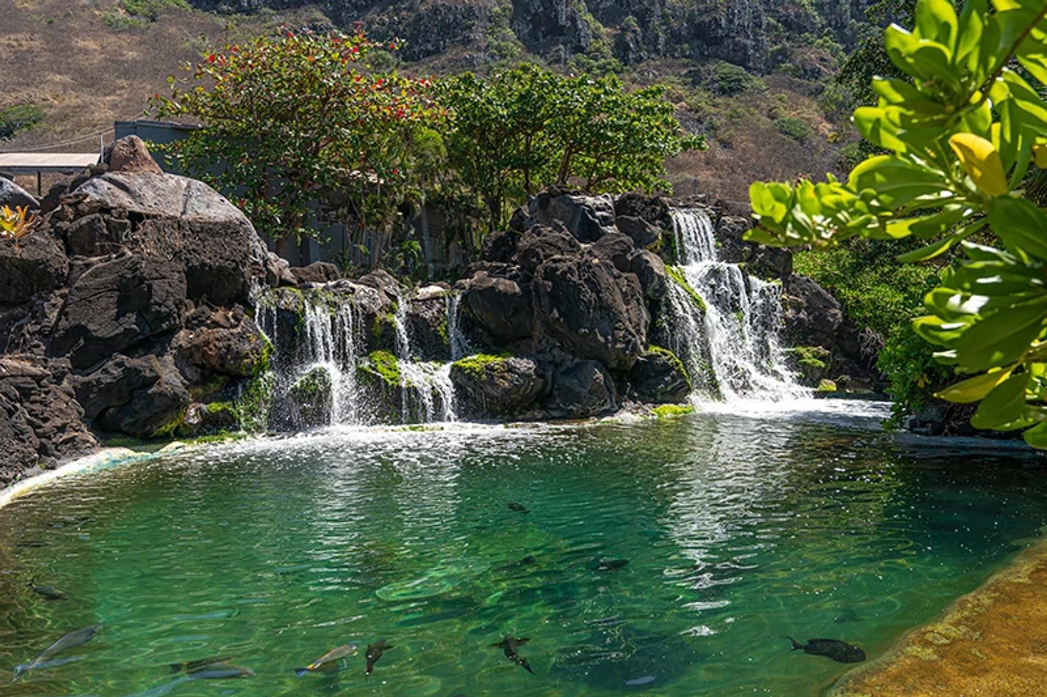 Hawaiian Reef Lagoon