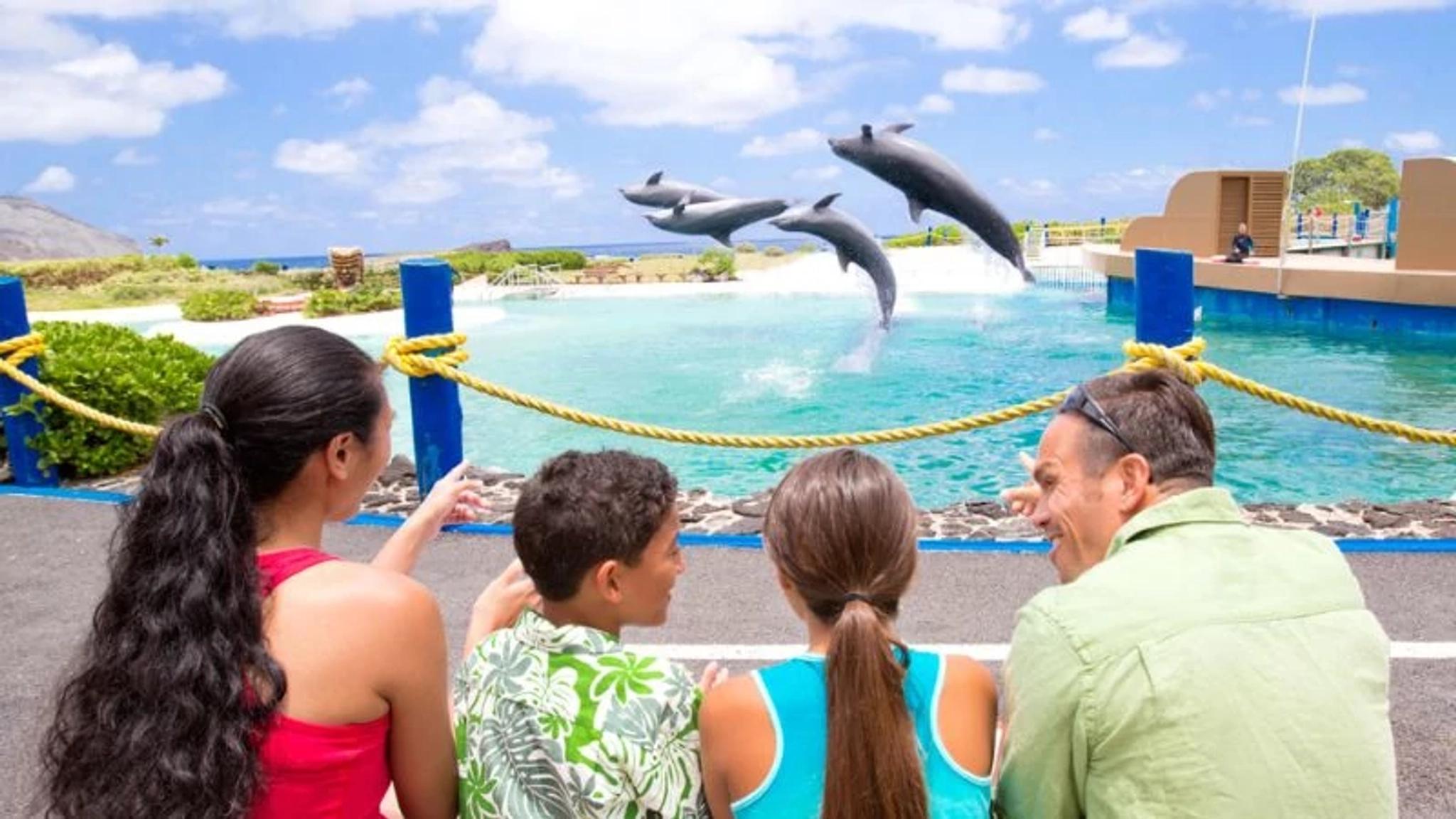 Explore Marine Life at Sea Life Park Hawaiʻi