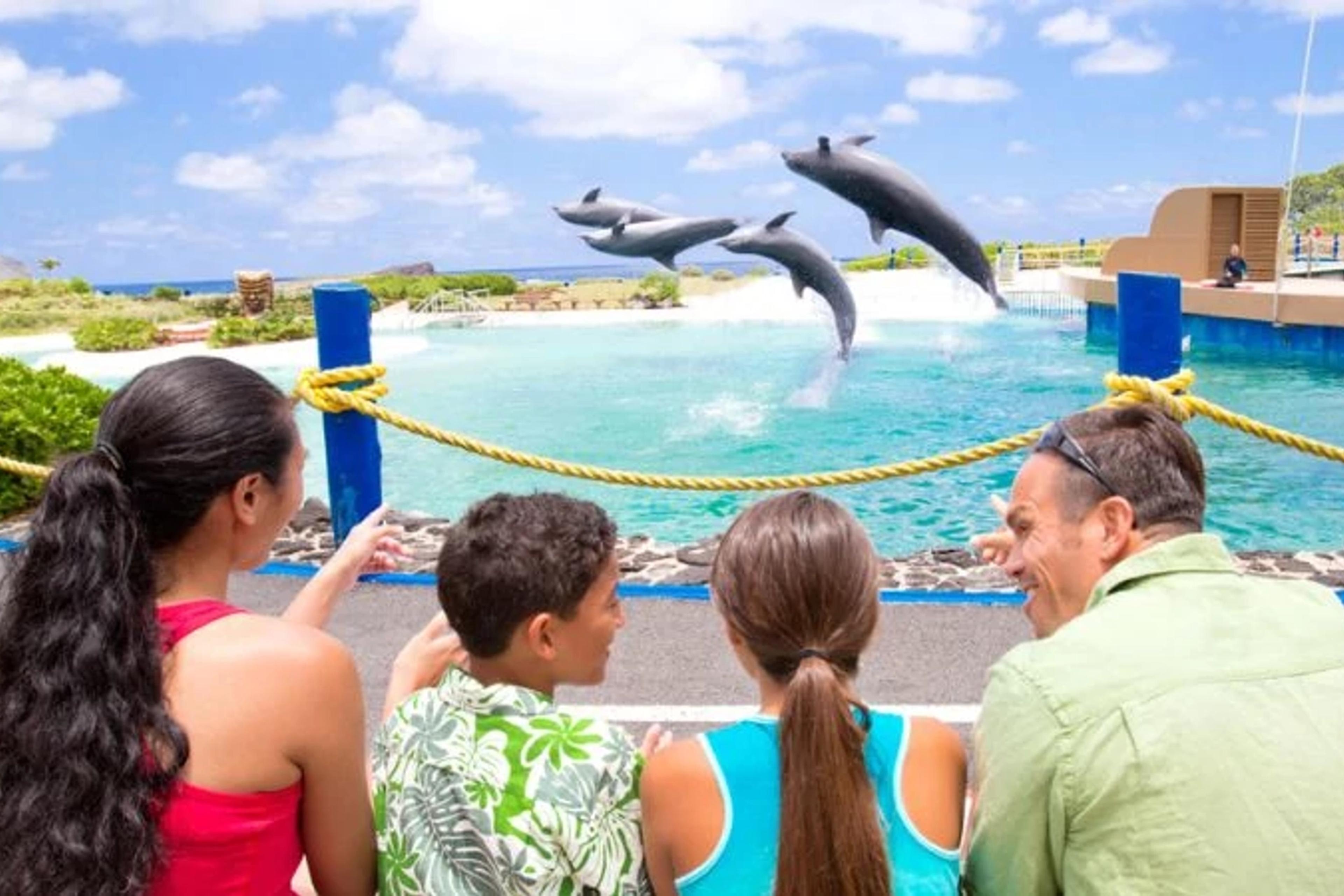 Explore Marine Life at Sea Life Park Hawaiʻi
