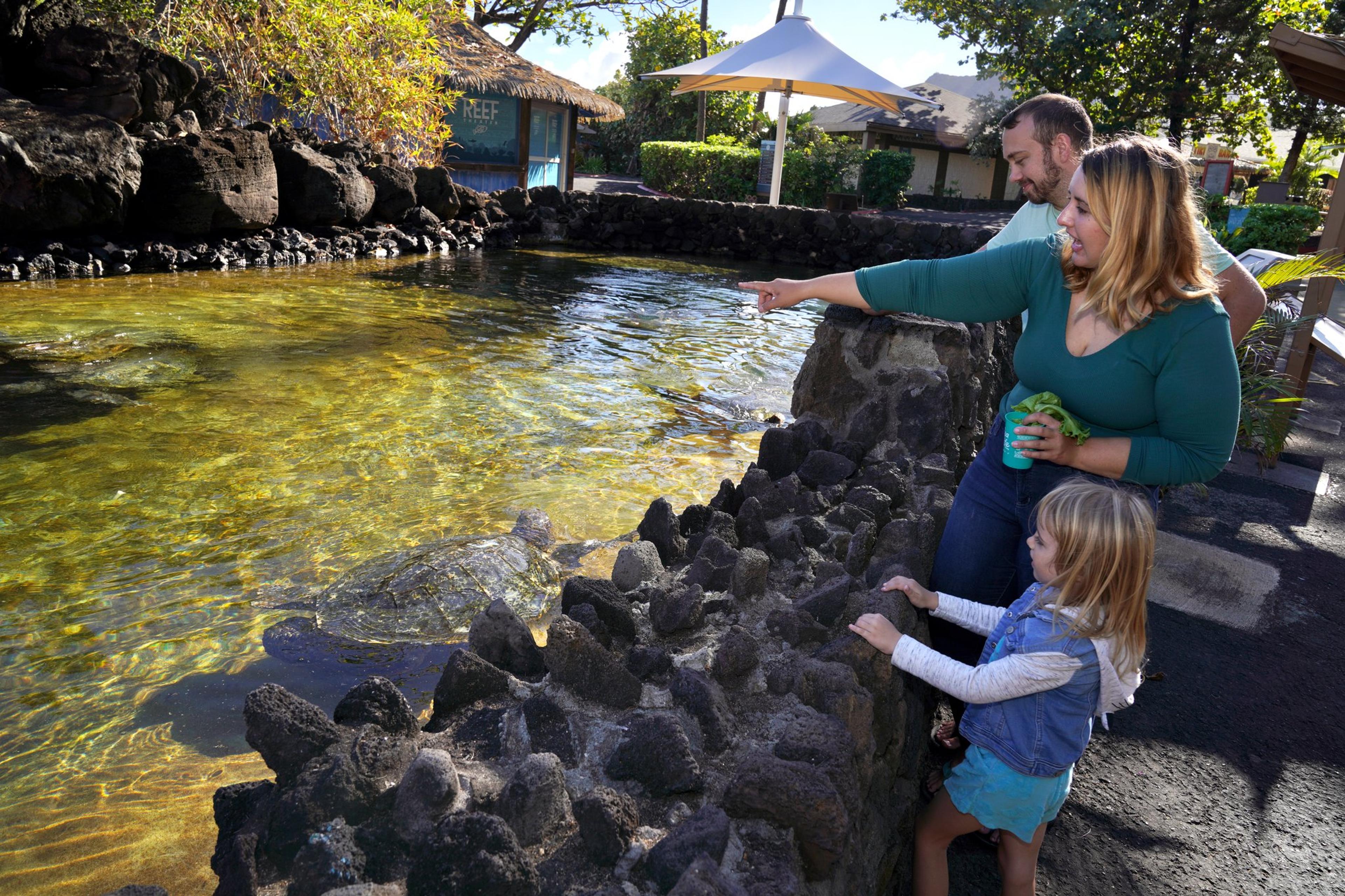 An ʻohana at Turtle Lagoon