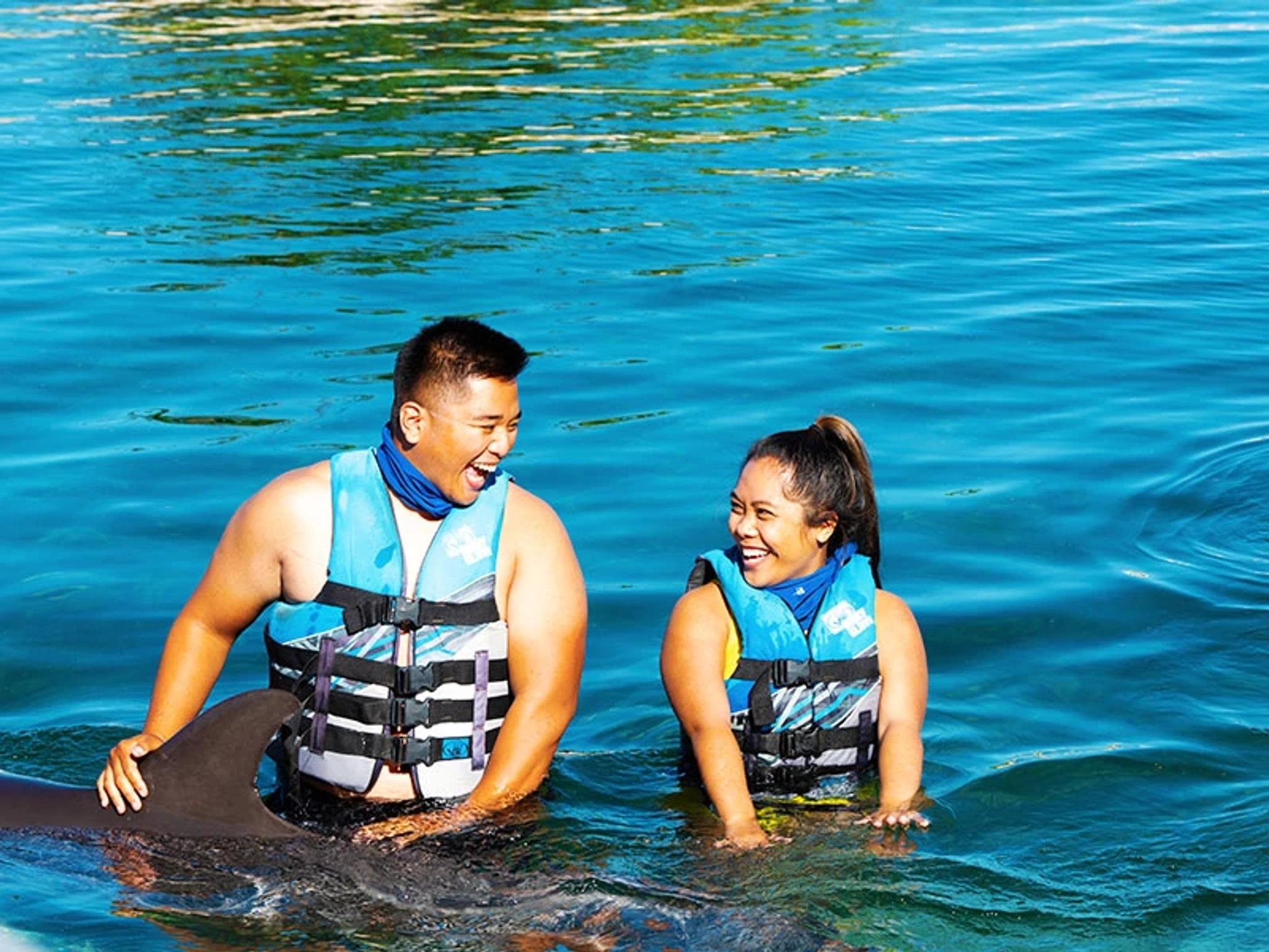 Dolphin Encounter
