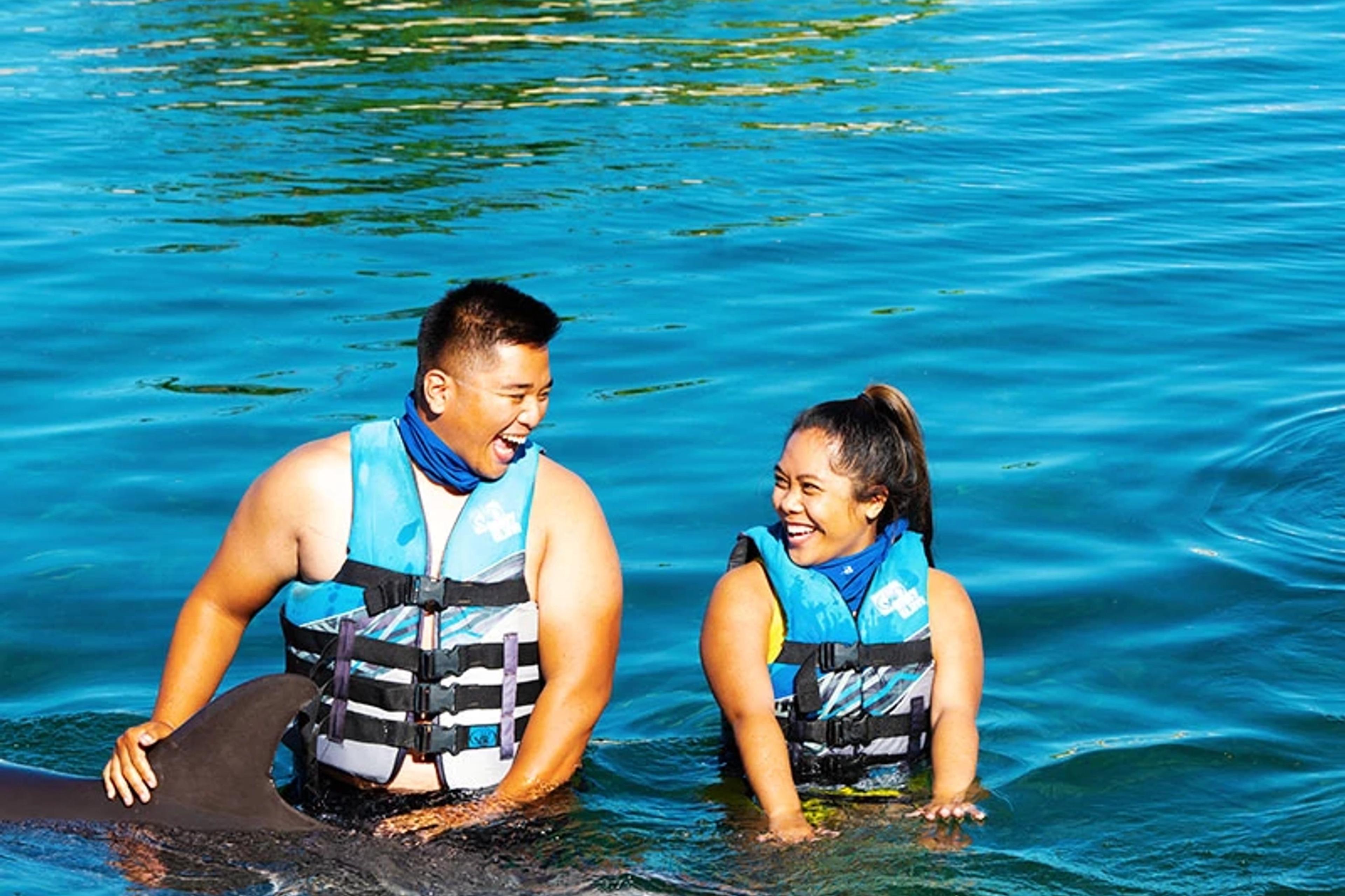 Dolphin Encounter