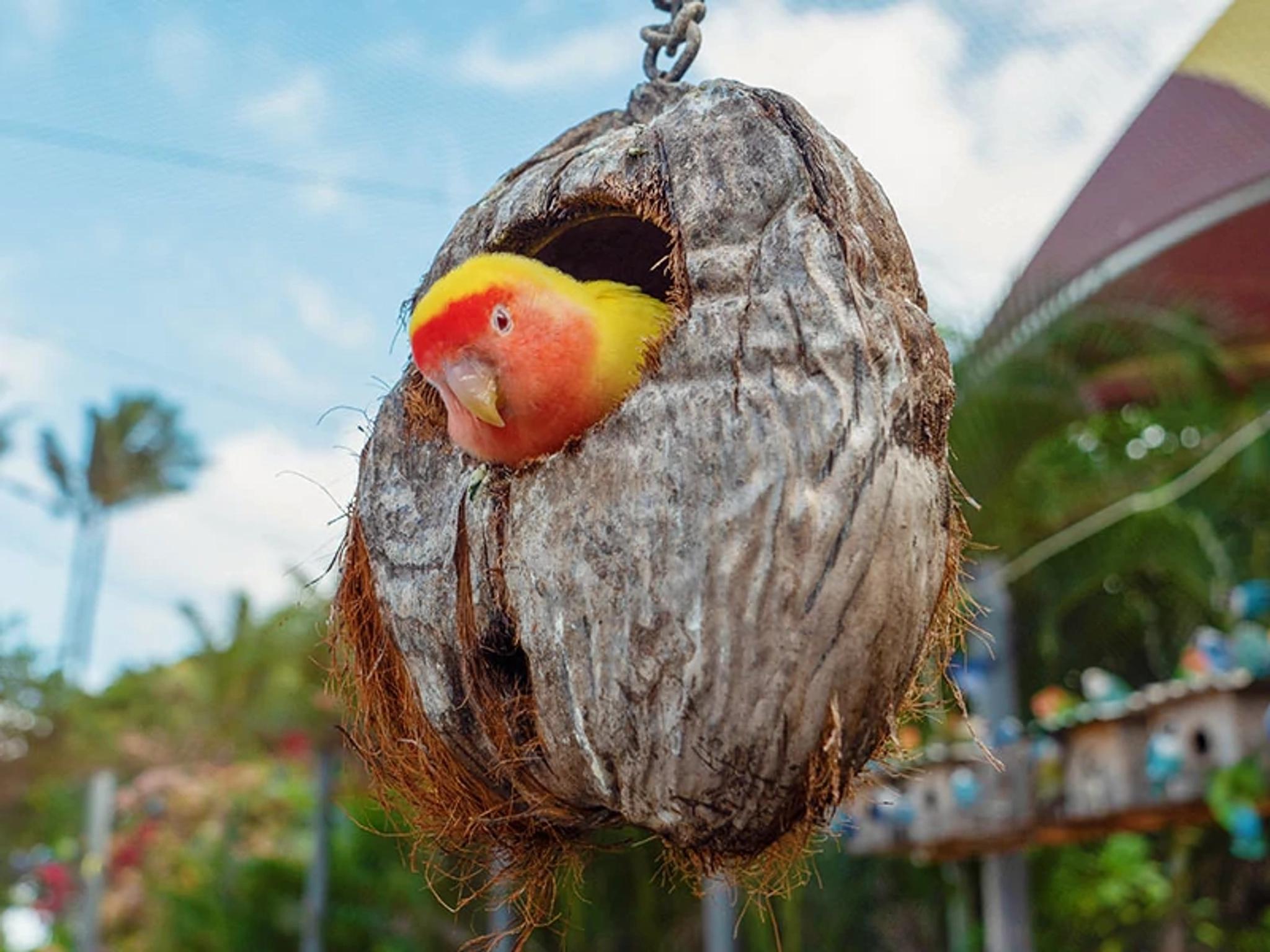 Hale Manu Bird Aviary