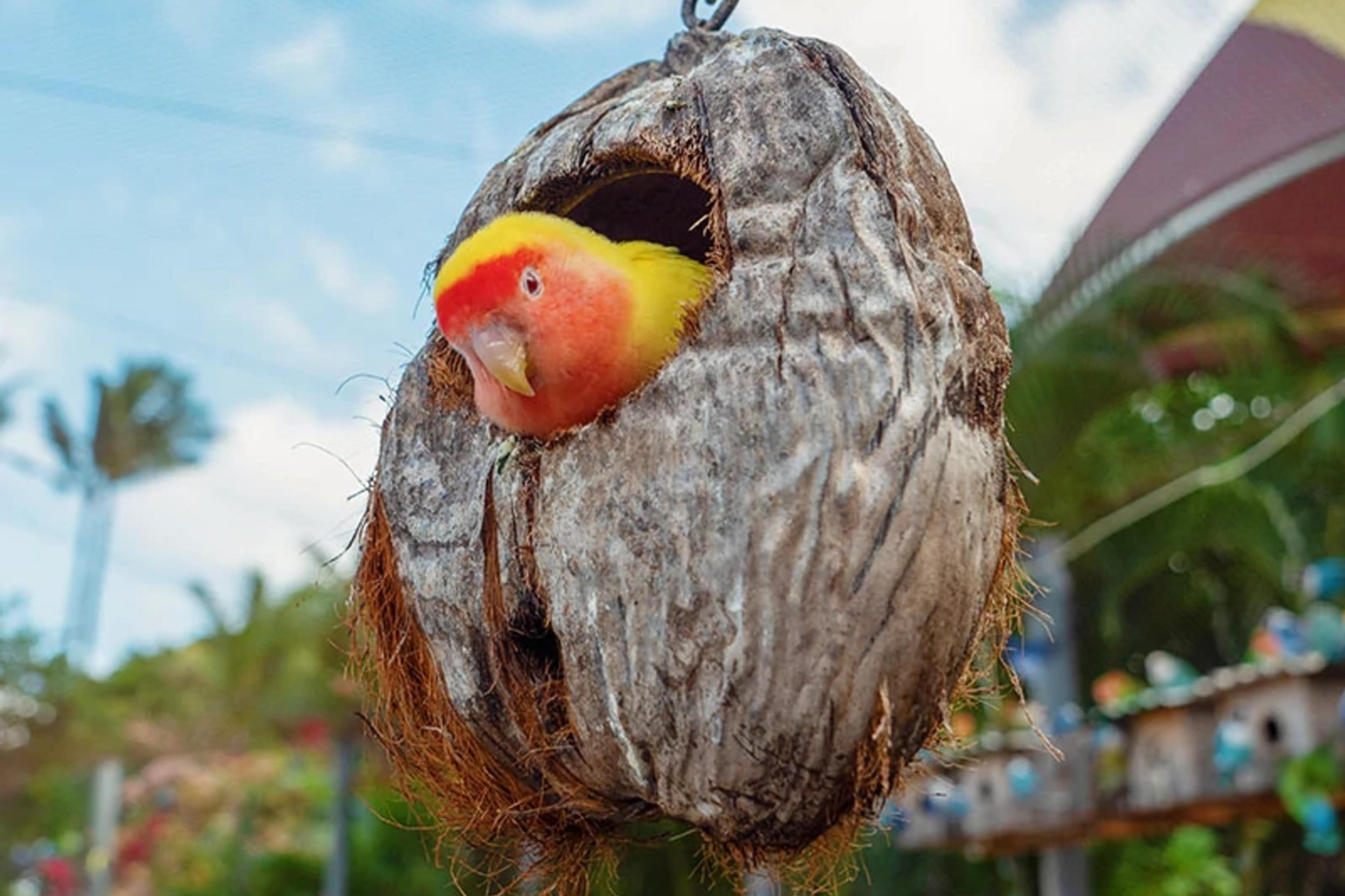 Hale Manu Bird Aviary