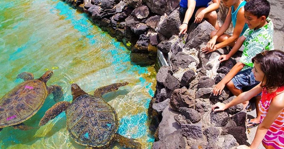 Sea Life Park Hawaii venue photo