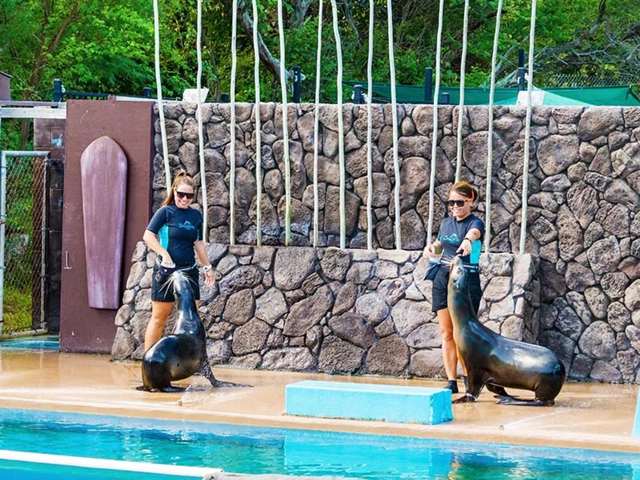 California Sea Lions Trainers