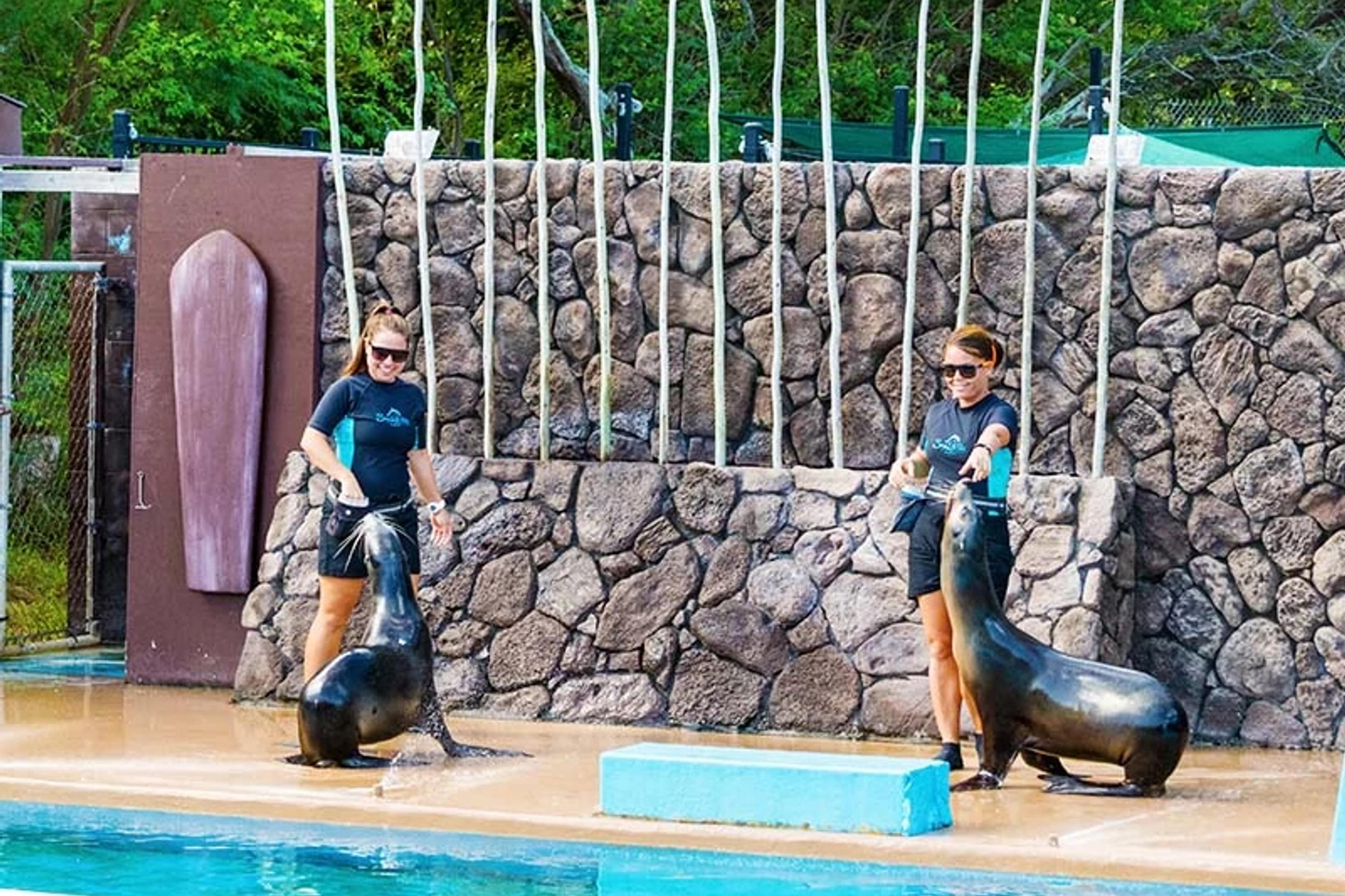 California Sea Lions Trainers