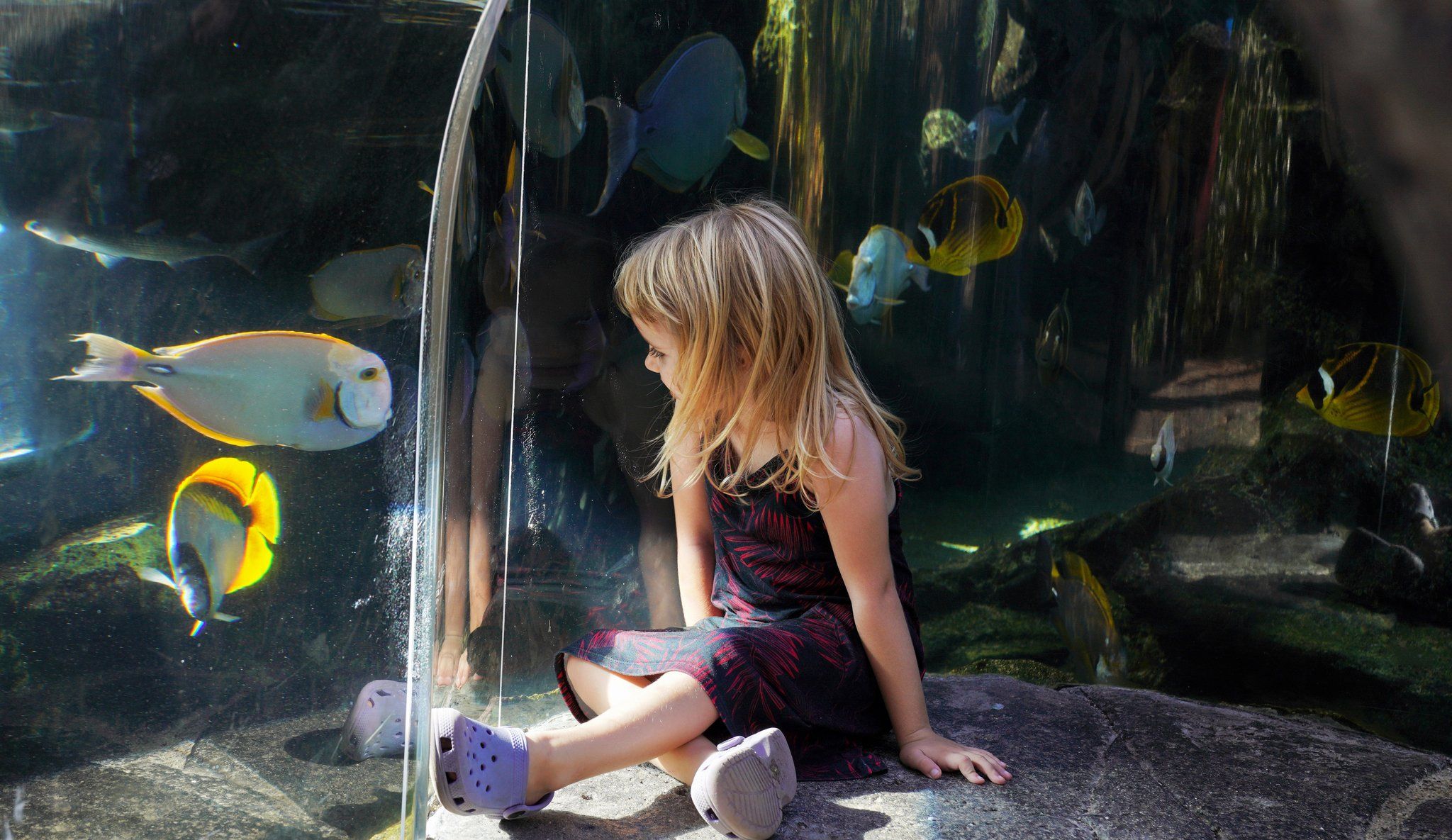 A girl at the Discovery Pool tunnel
