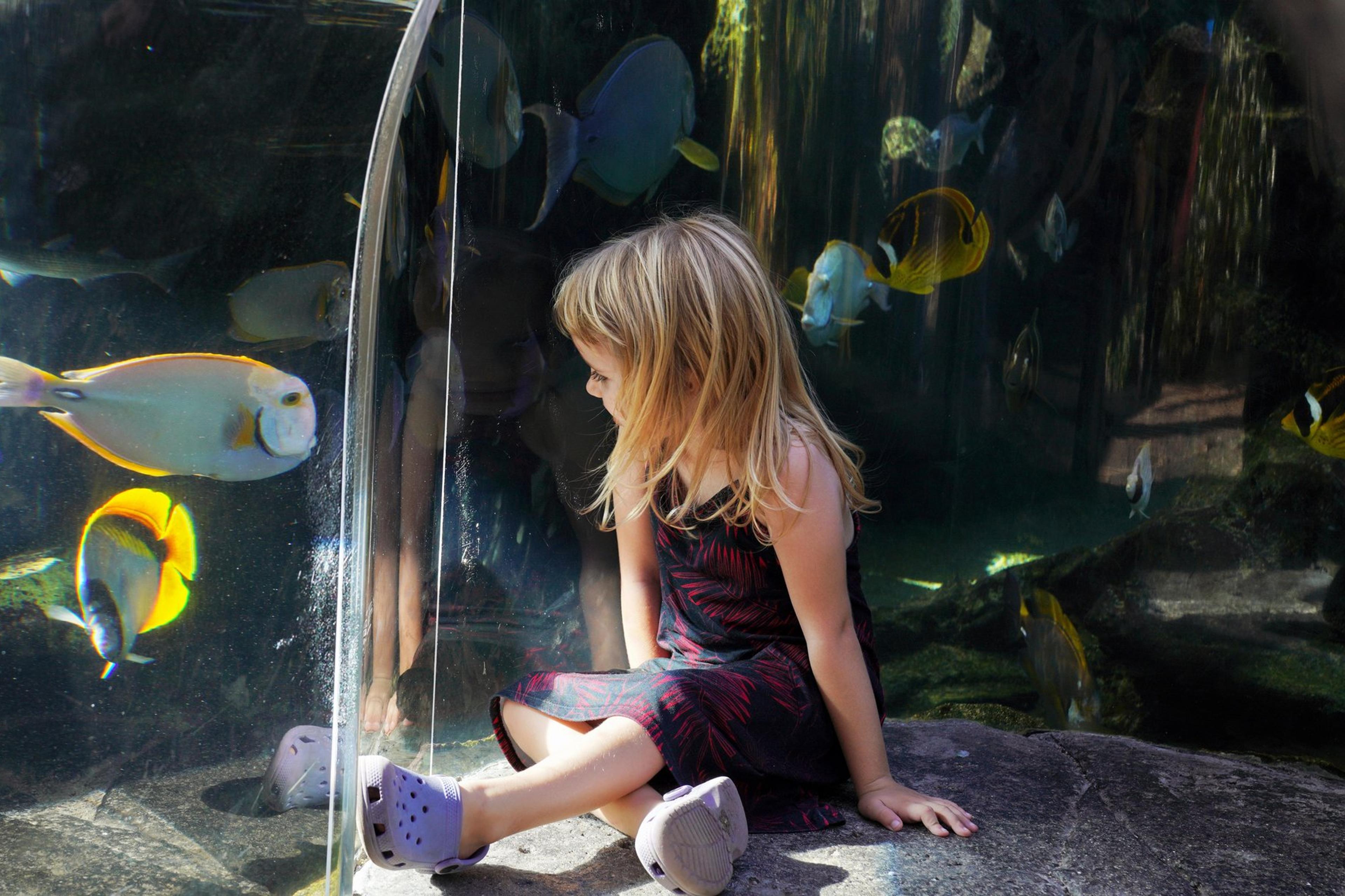 A girl at the Discovery Pool tunnel