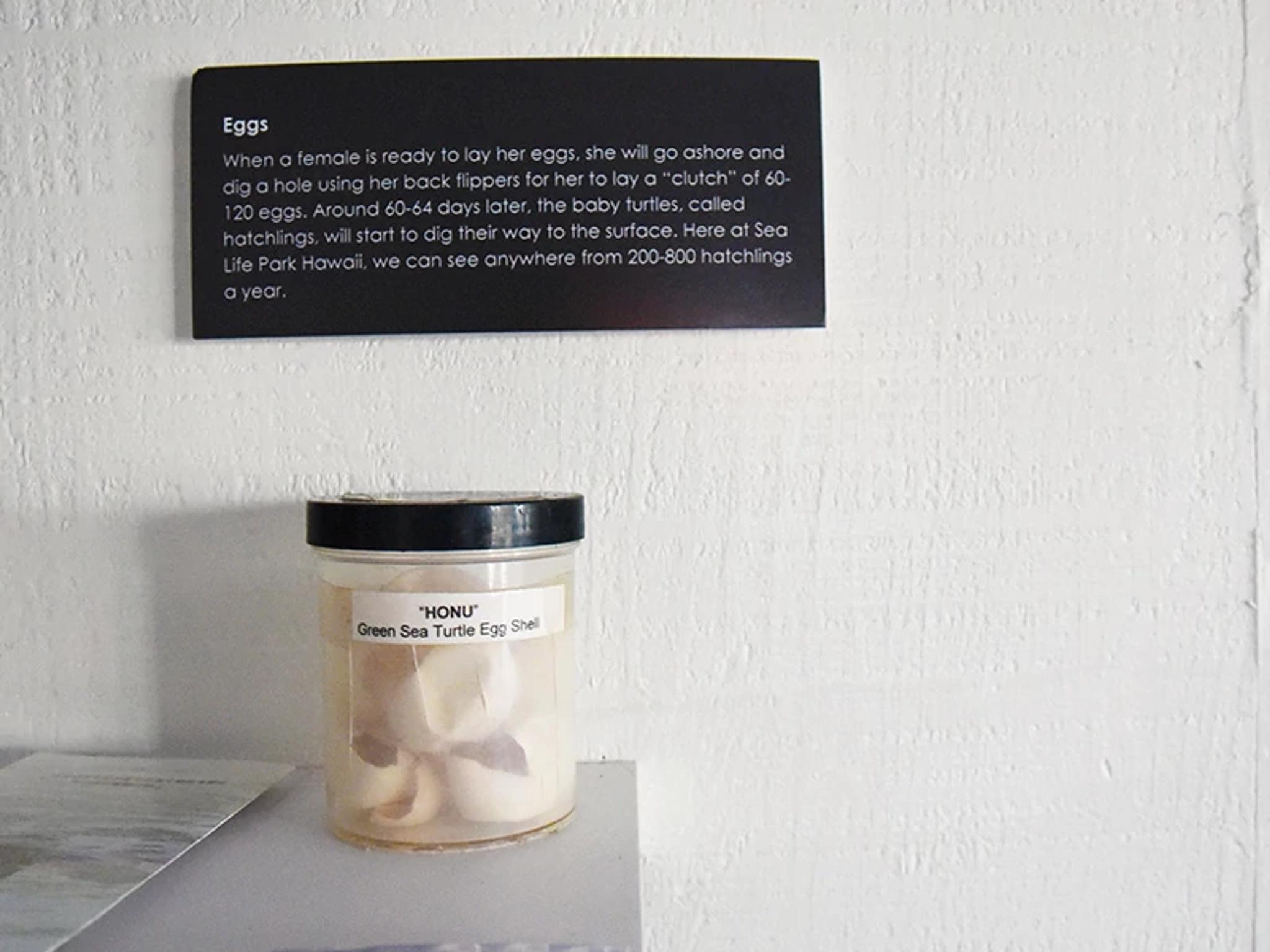 Conservation Center Exhibit