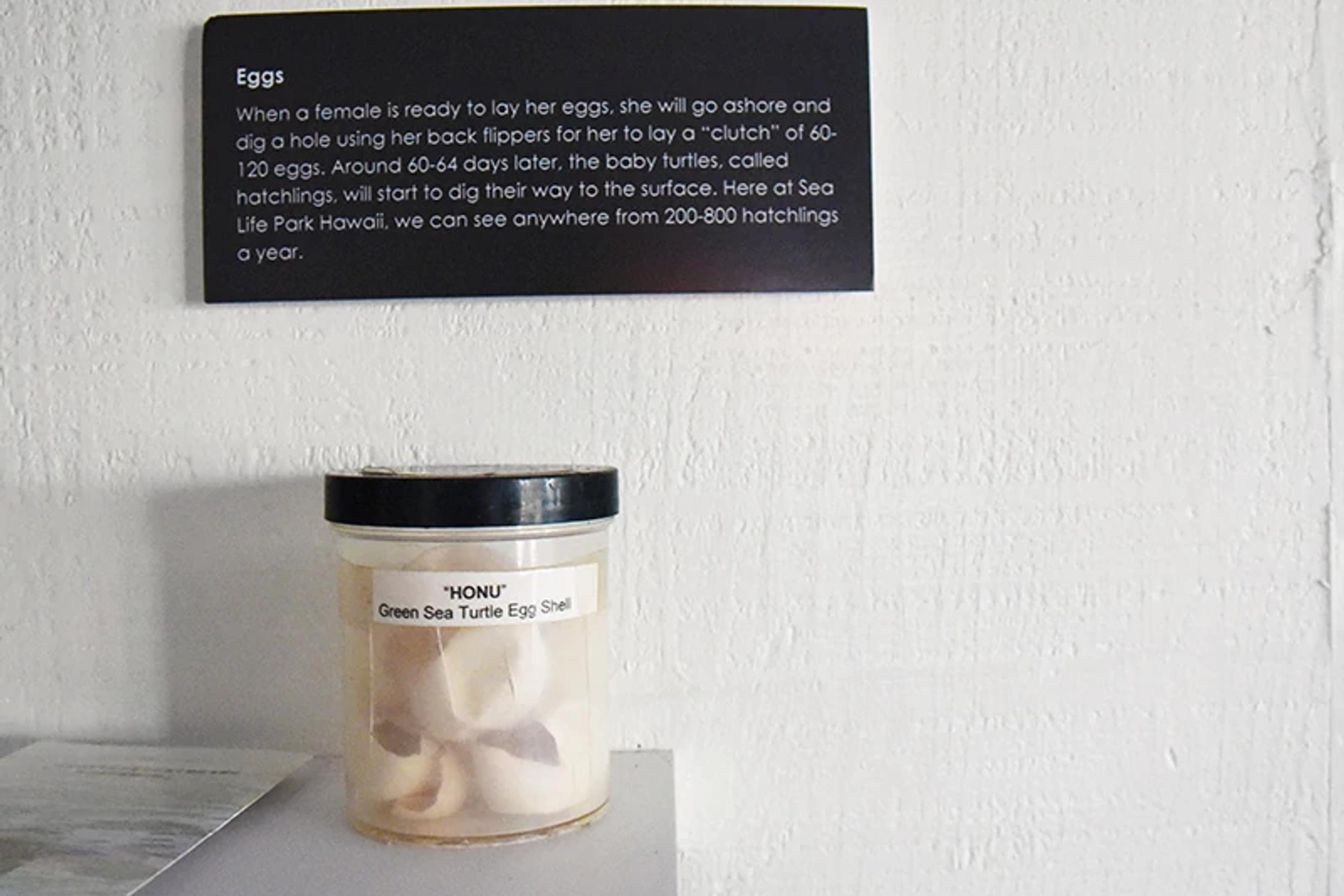 Conservation Center Exhibit