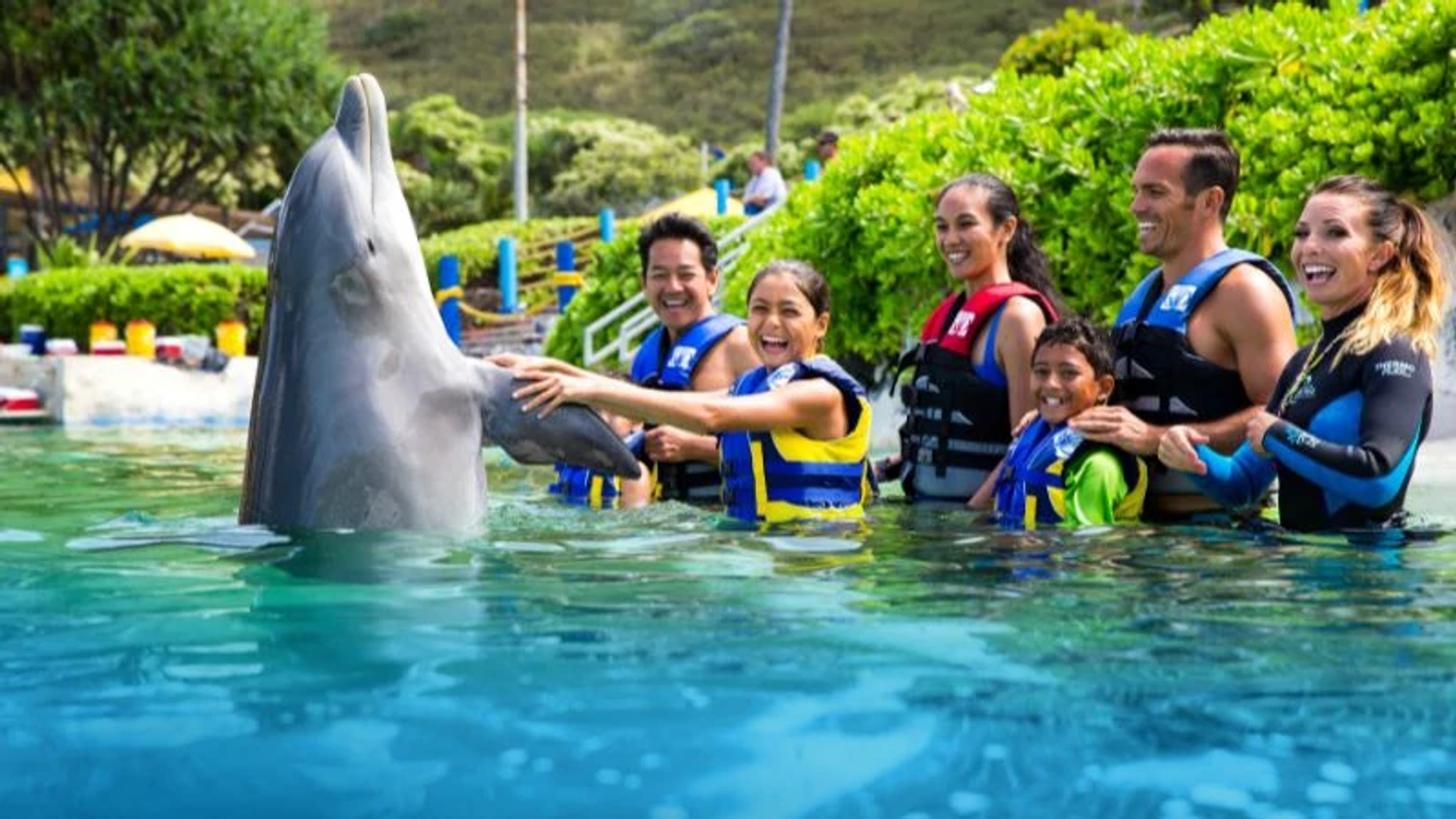Animal Encounters