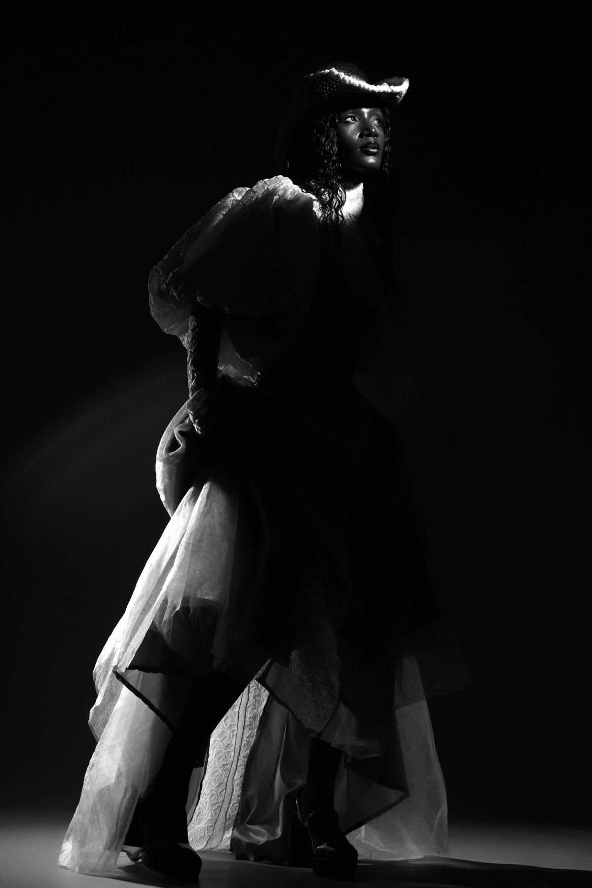 Eclipsed Elegance