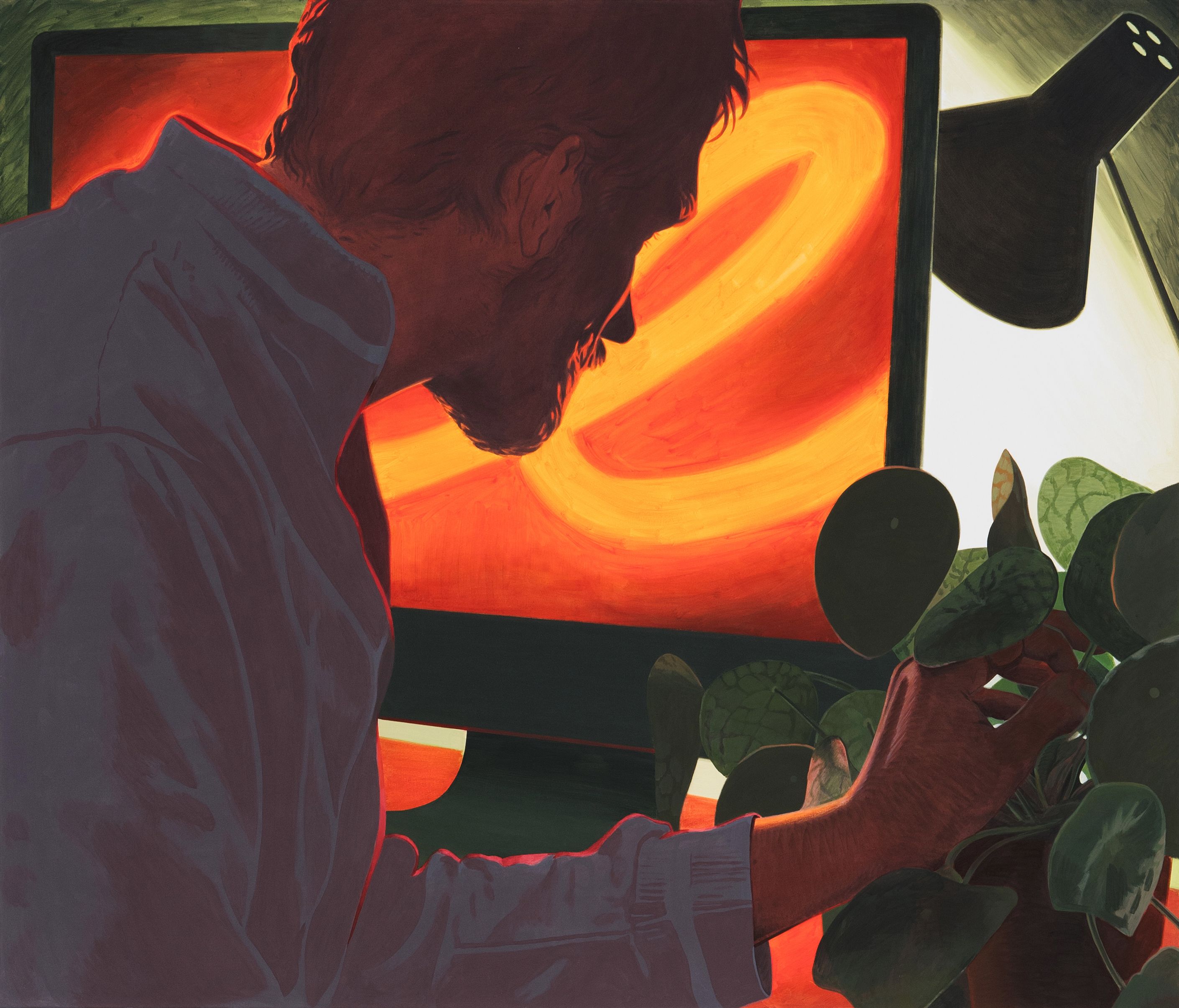 Man touching plant