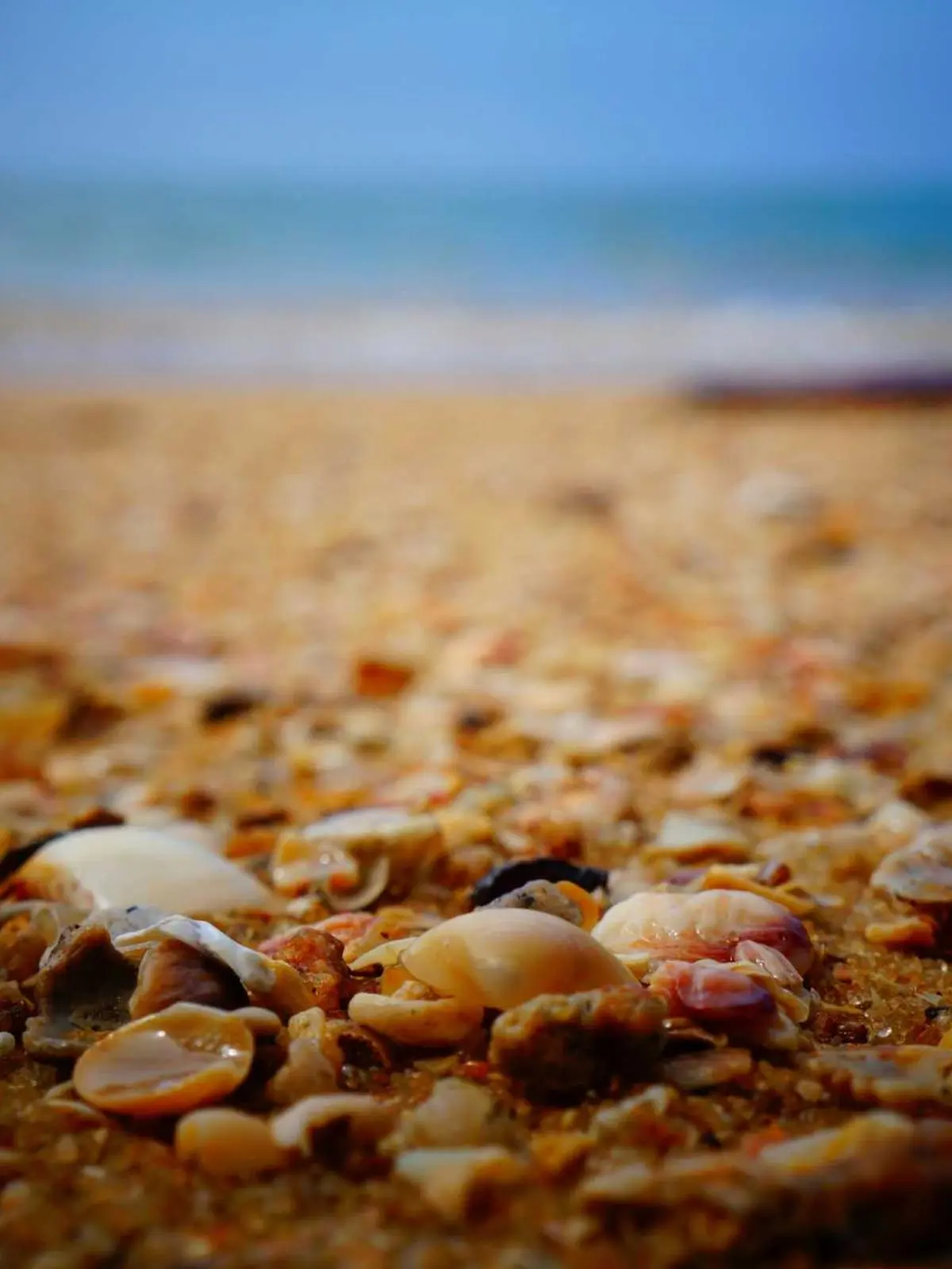 Haute couture fashion imagery