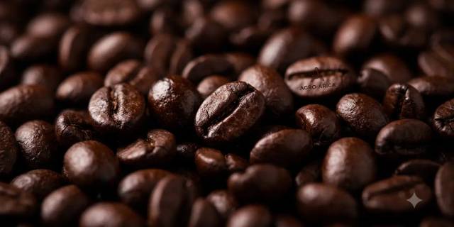 De beste dark roast koffiebonen: krachtig, vol en intens