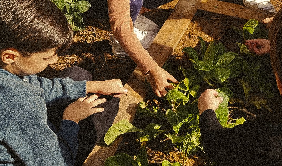 Placeholder image via unsplash