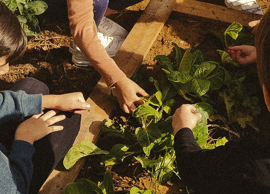 Placeholder image via unsplash