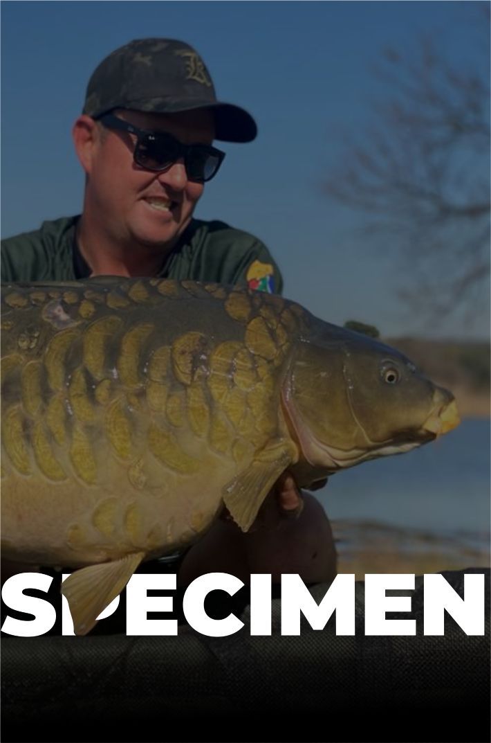 Fishing rod display for specimen angling