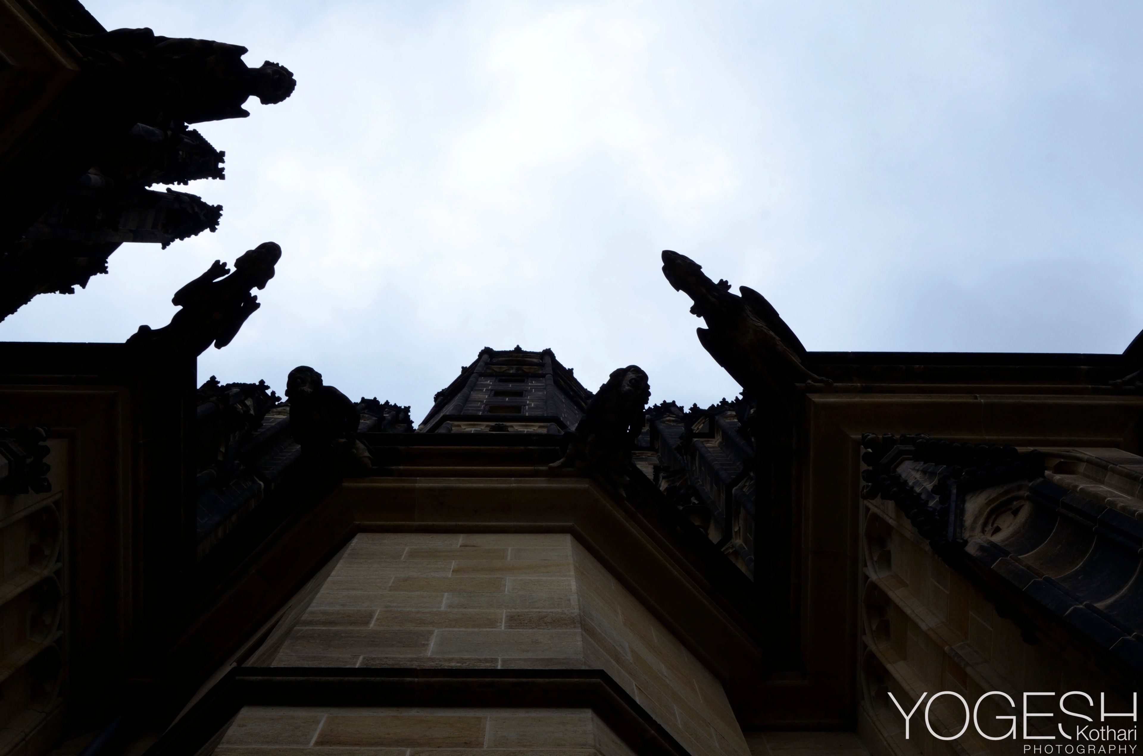 Gothic cathedral stonework and gargoyles silhouetted against a pale sky, seen from below