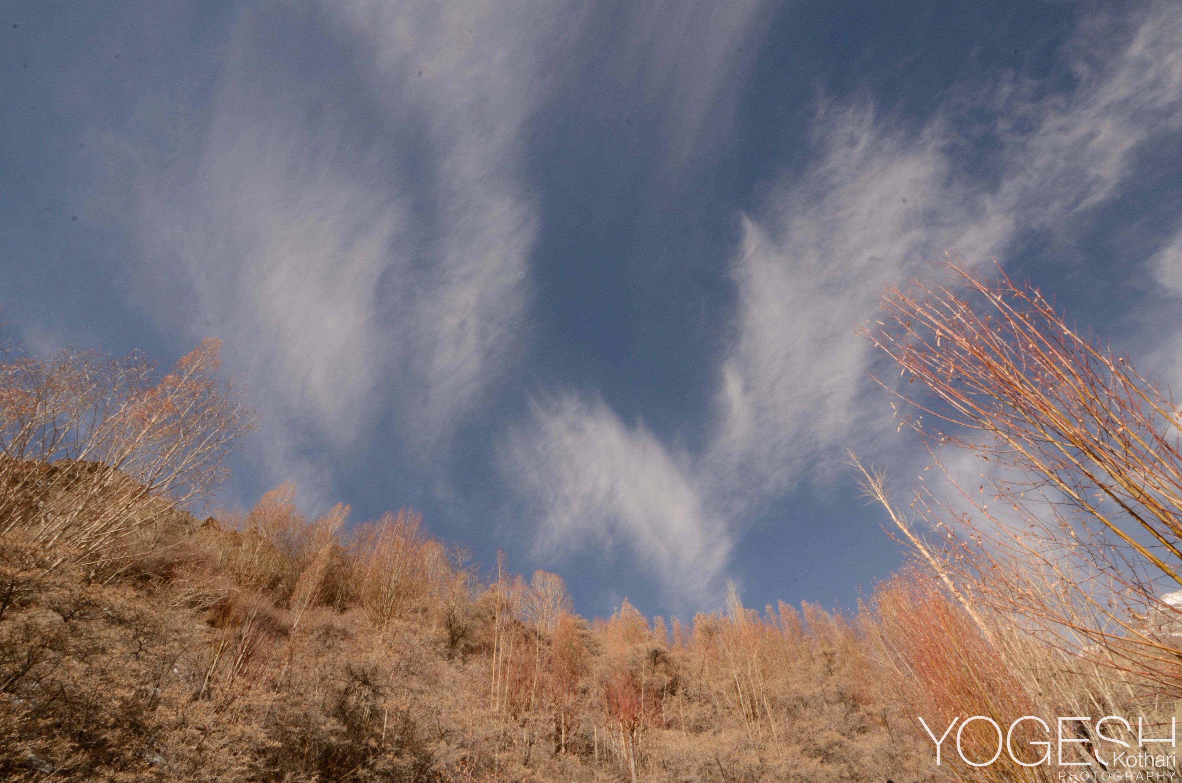 Wispy white clouds streaking across a blue sky above dry grass and bare trees