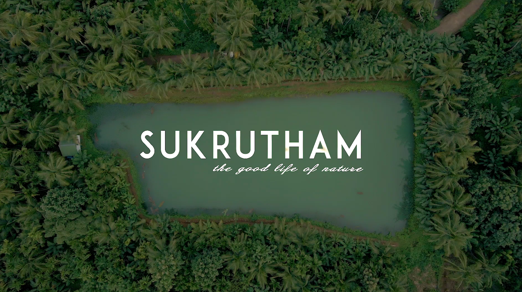 Discovering the Monsoon Magic: Why June to October is the Perfect Time to Visit Sukrutham Farmstay in Thrissur, Kerala