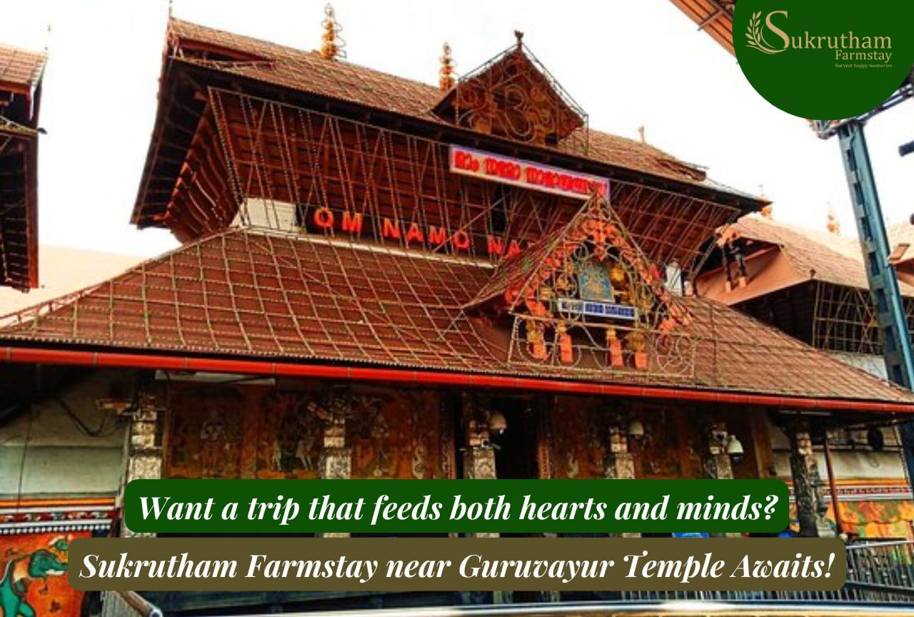 How to Plan a Family-Friendly Guruvayur Ekadasi Trip in Thrissur?