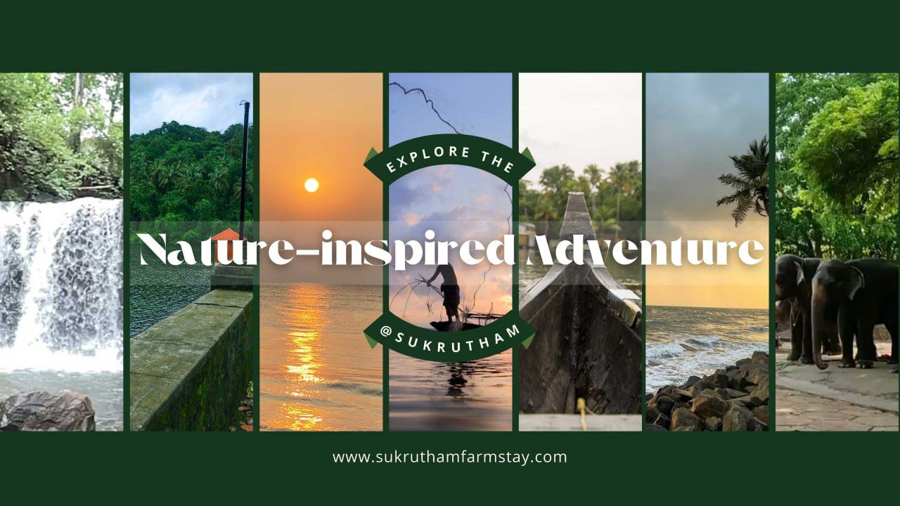 Explore the Nature-inspired Adventure at Our Farmhouse in Kerala