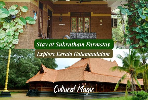 Food & Culture
