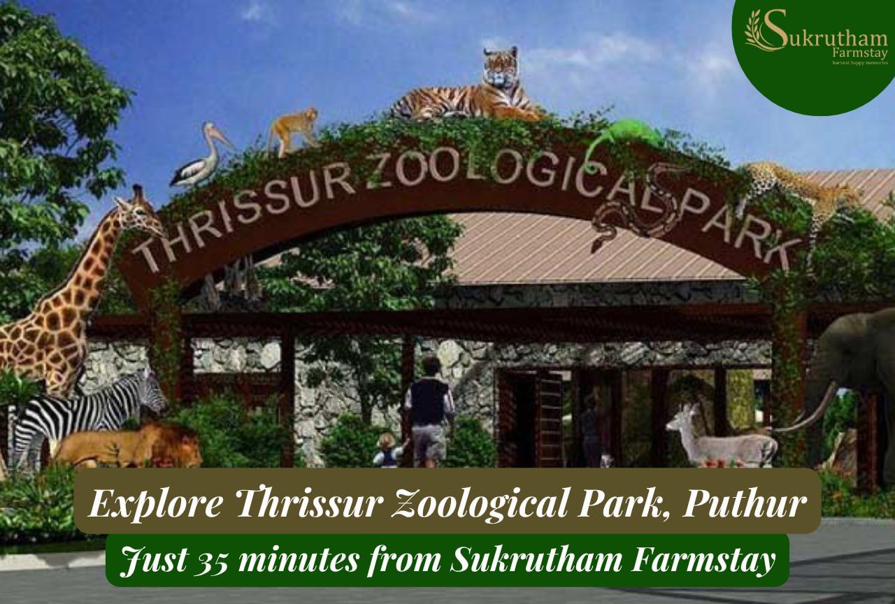 Top 10 Things About the Puthur Zoological Park in Thrissur
