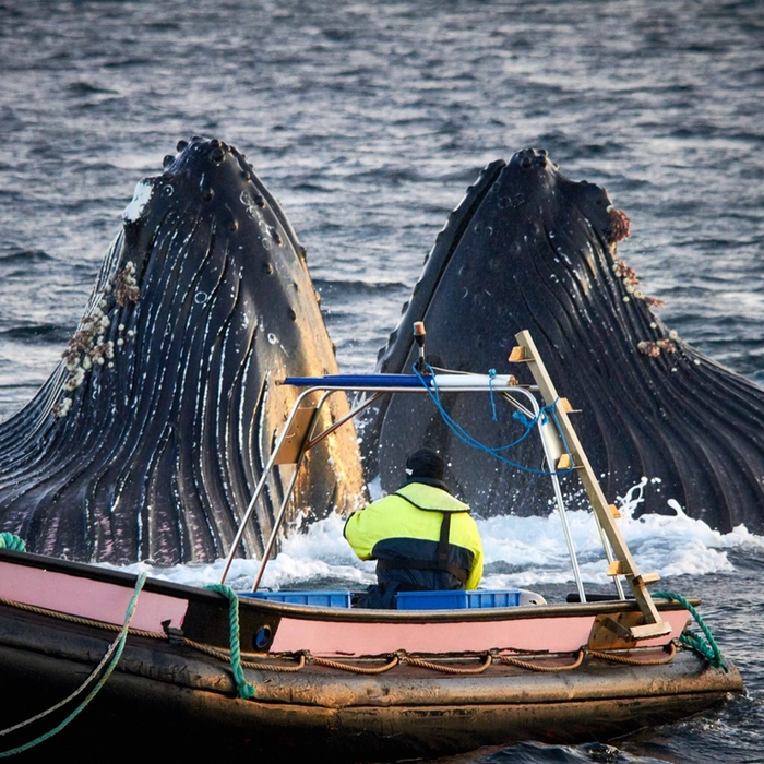 Photo: © Olav Magne Strømsholm