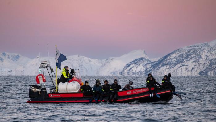 Orca Norway