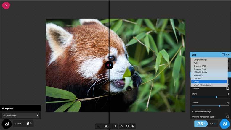webp image example.
