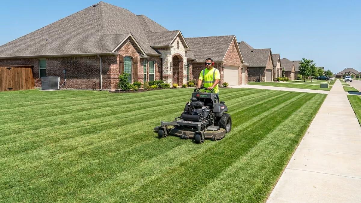 Lawn care technician mowing stripes into a front lawn with a stand-on mower on a street of freshly mowed yards, showing route density.