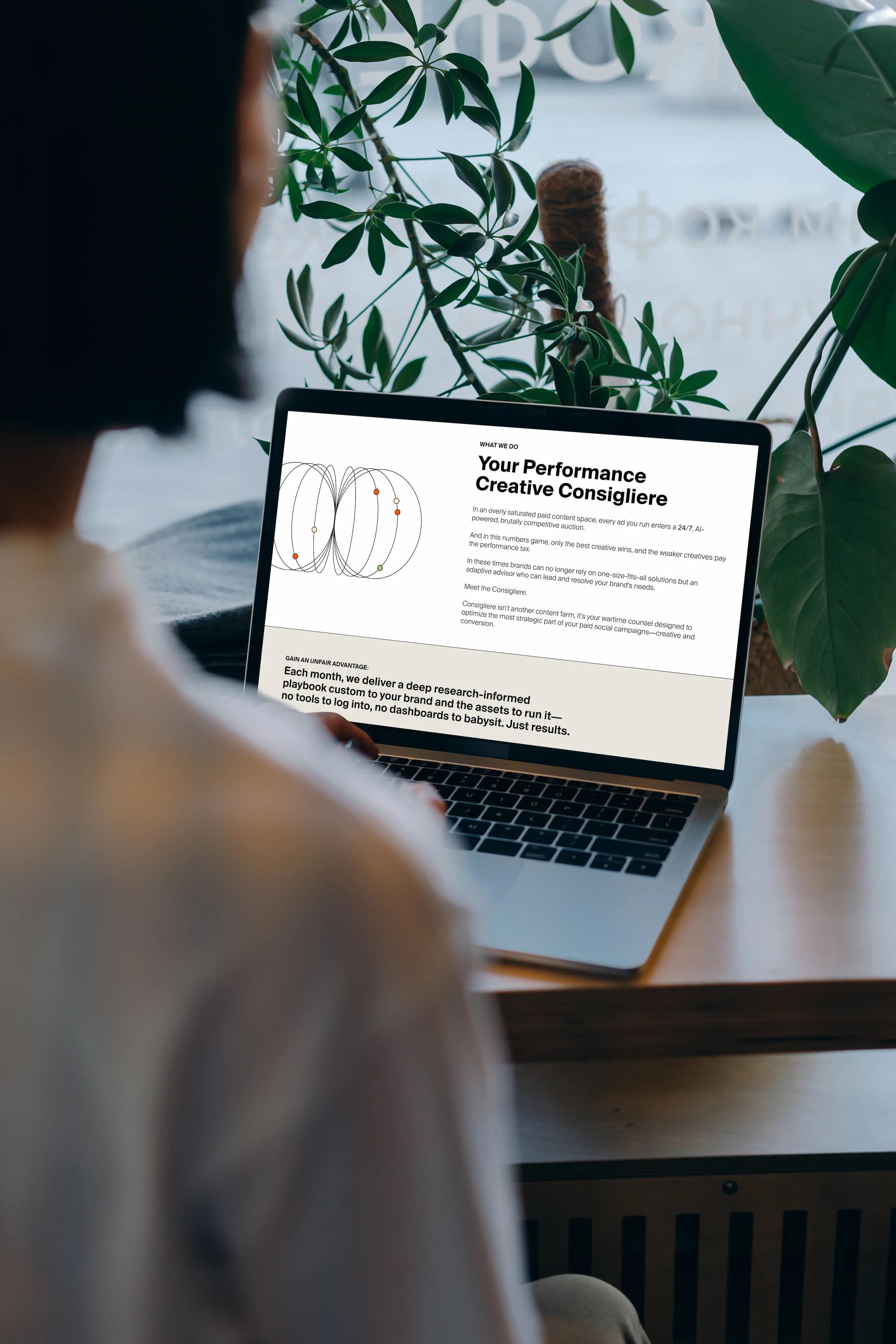 portfolio images consigliere