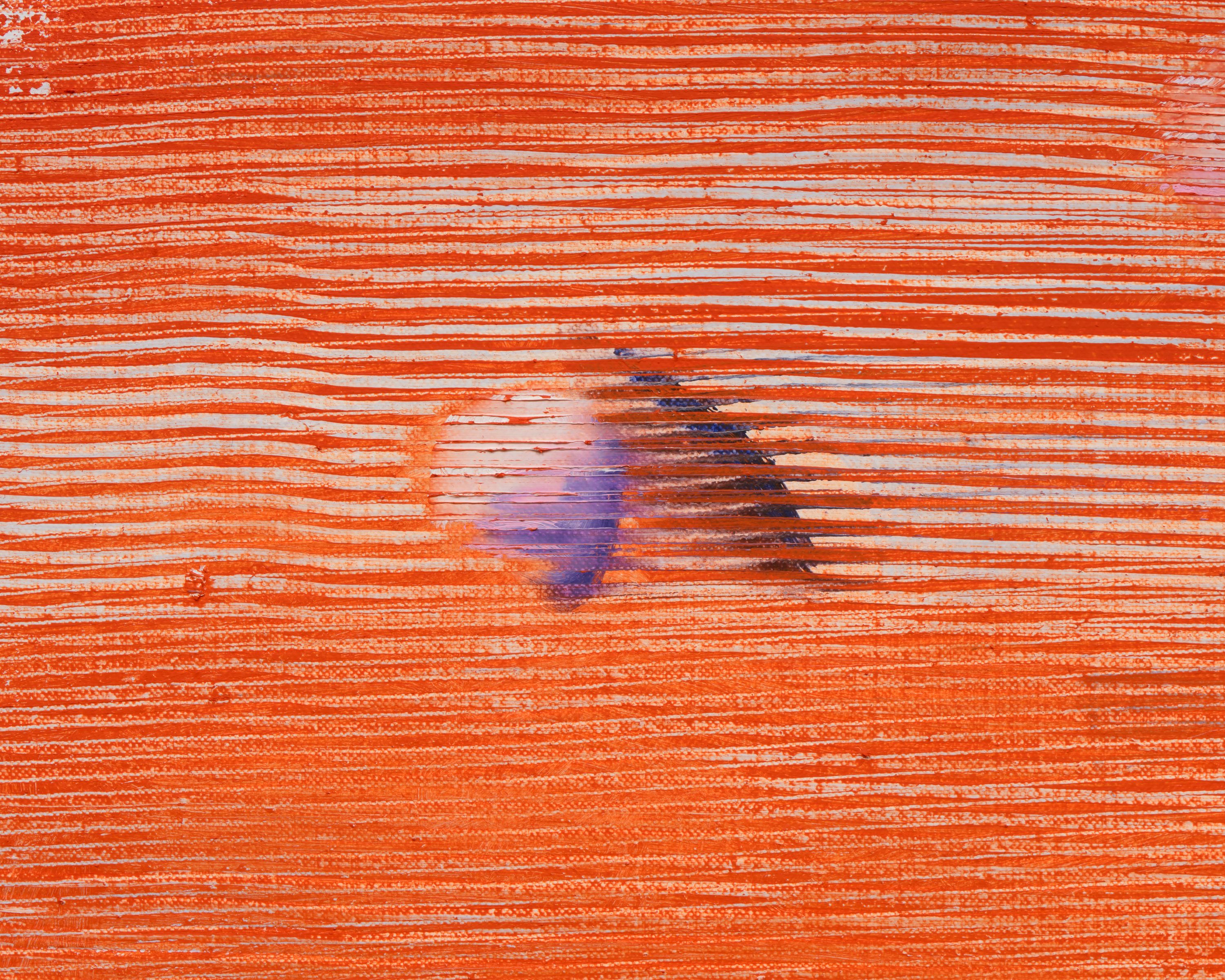 Aragonite and conchiolin