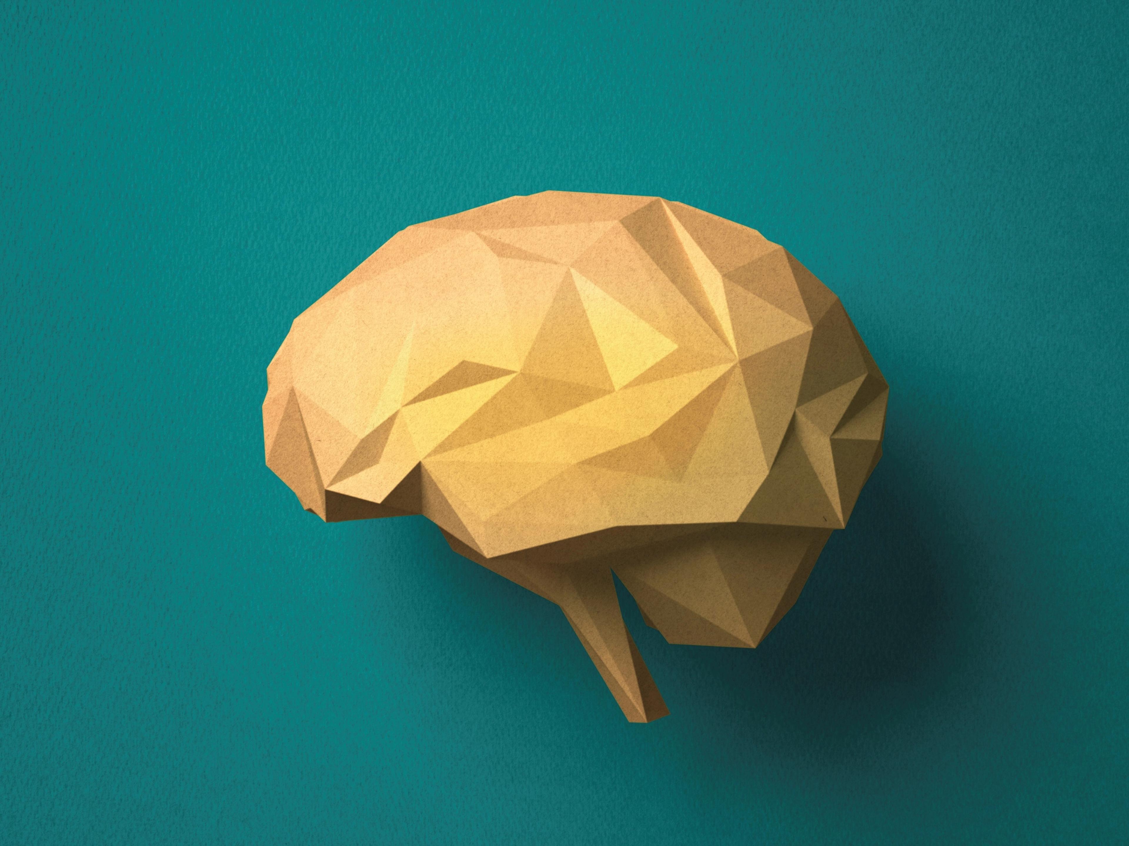 brain