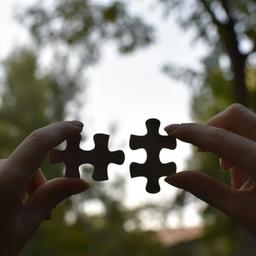 a person is holding two puzzle pieces in their hands .