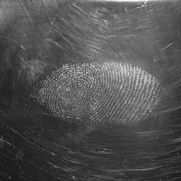 a black and white photo of a fingerprint on a black surface .