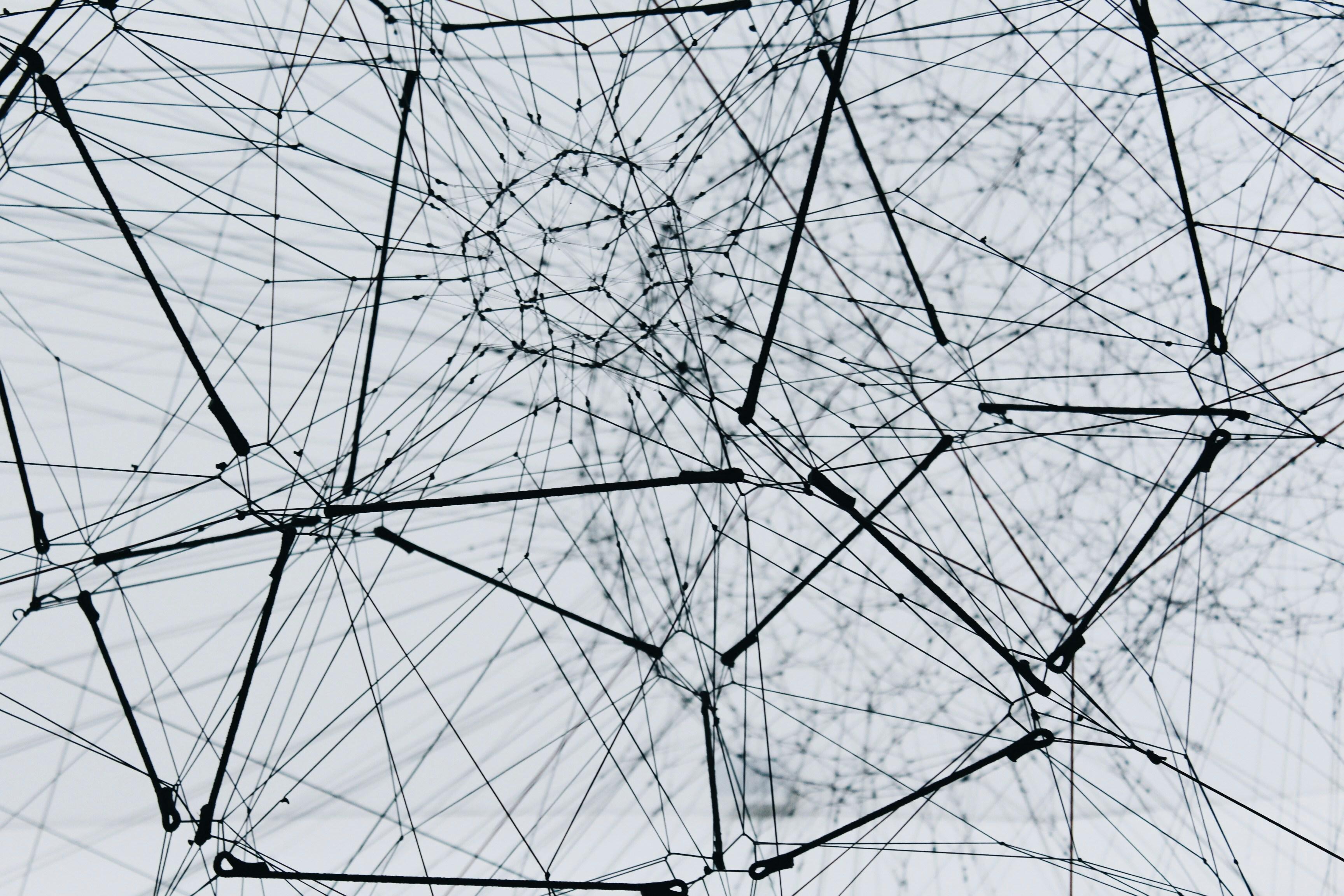 a black and white photo of a spider web on a white background .