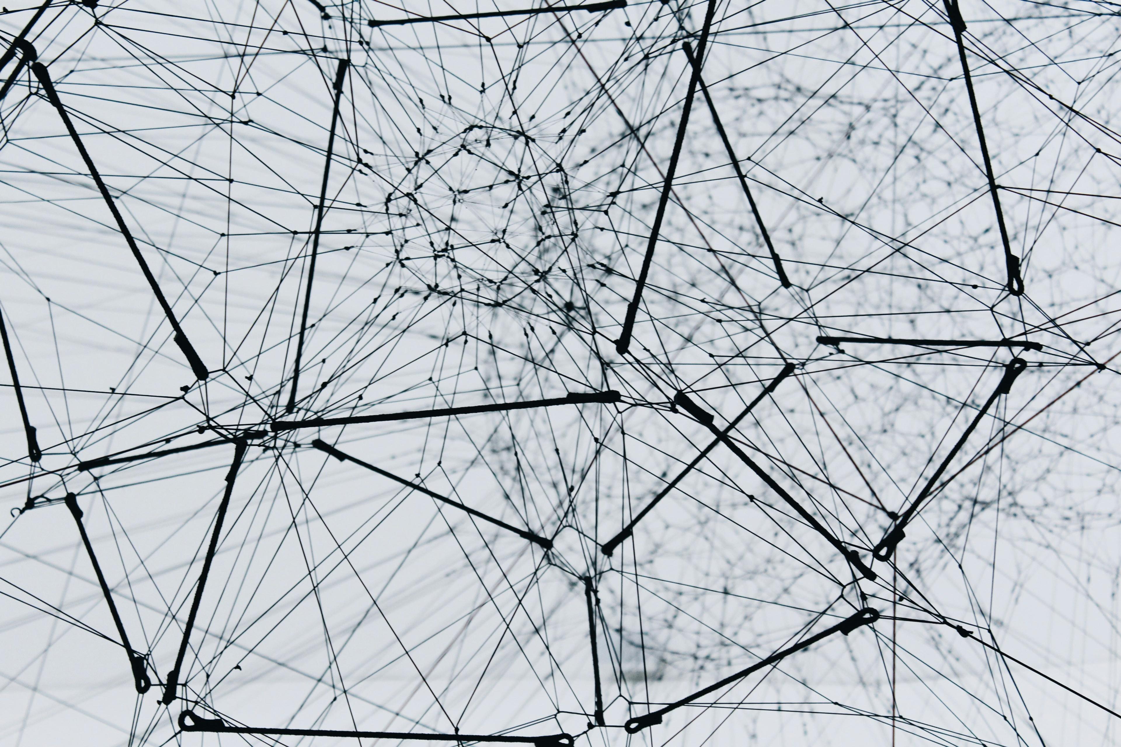 a black and white photo of a spider web on a white background .