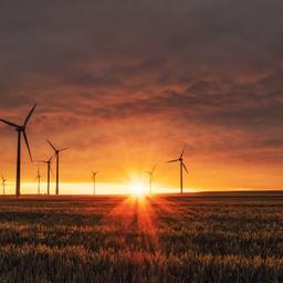 renewable-energy-sunset