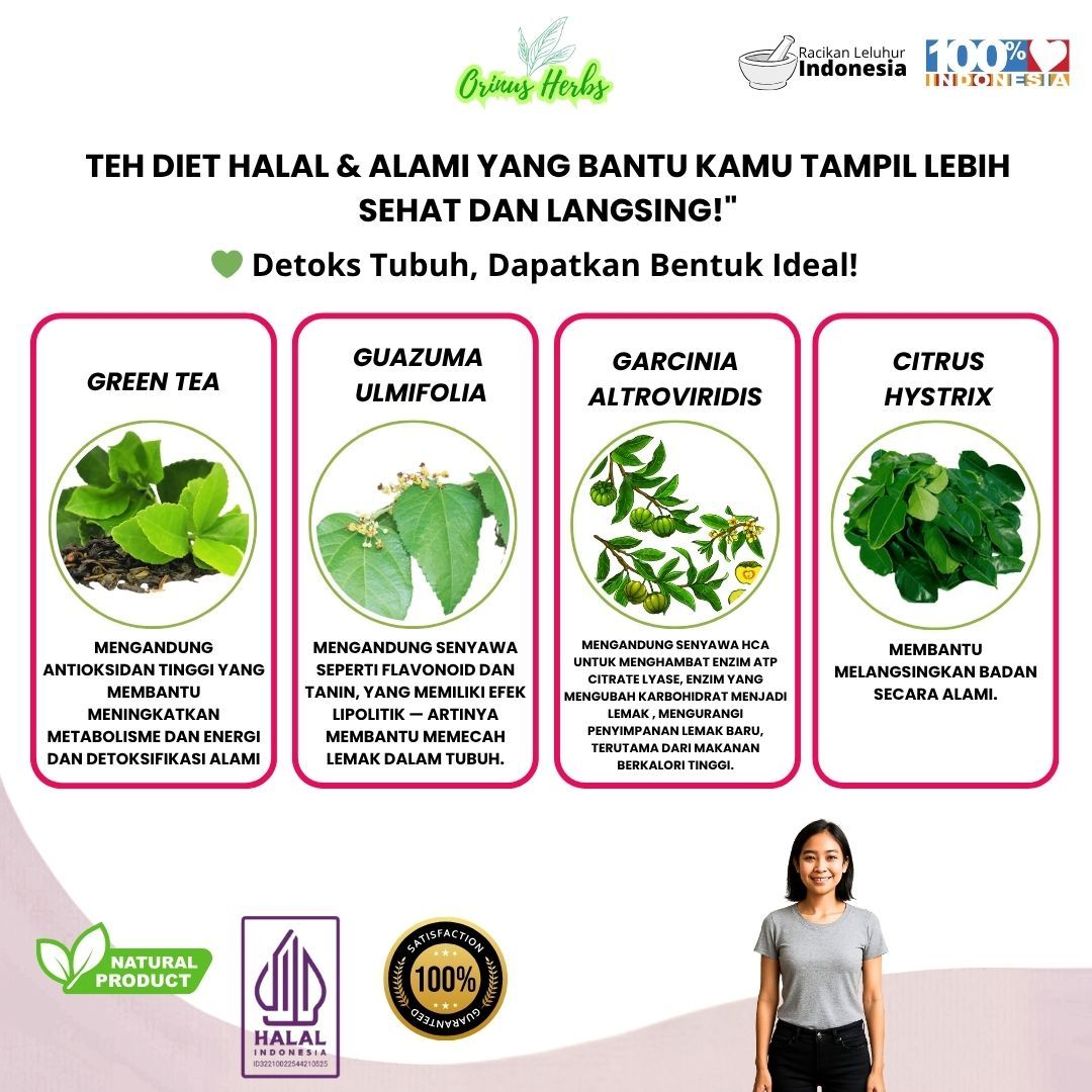 Teh Diet Herbal Orinus Herbs Langsora Pelangsing Alami & Detox 20 kantong celup @6gr 3